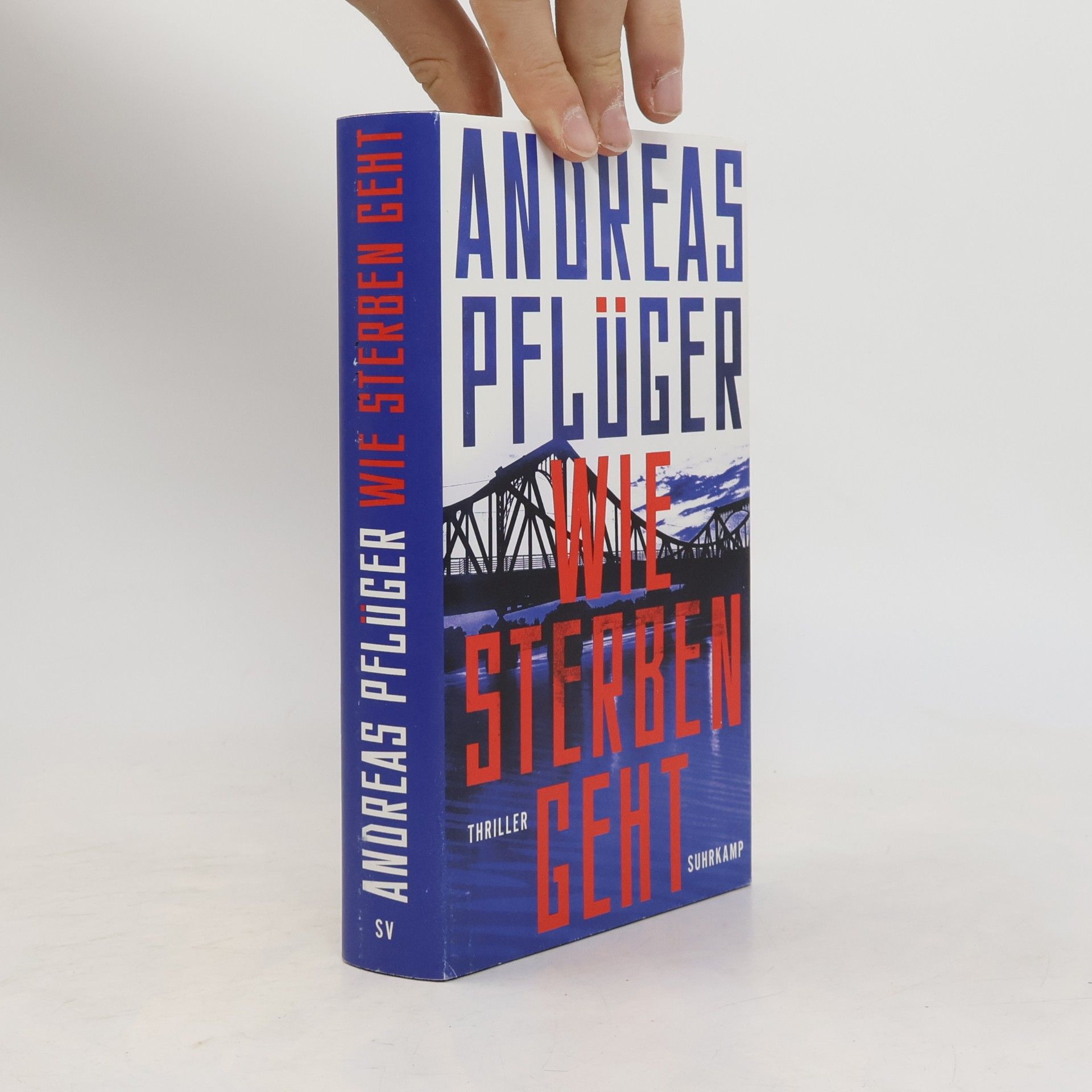 Andreas Pflüger Wie Sterben geht
