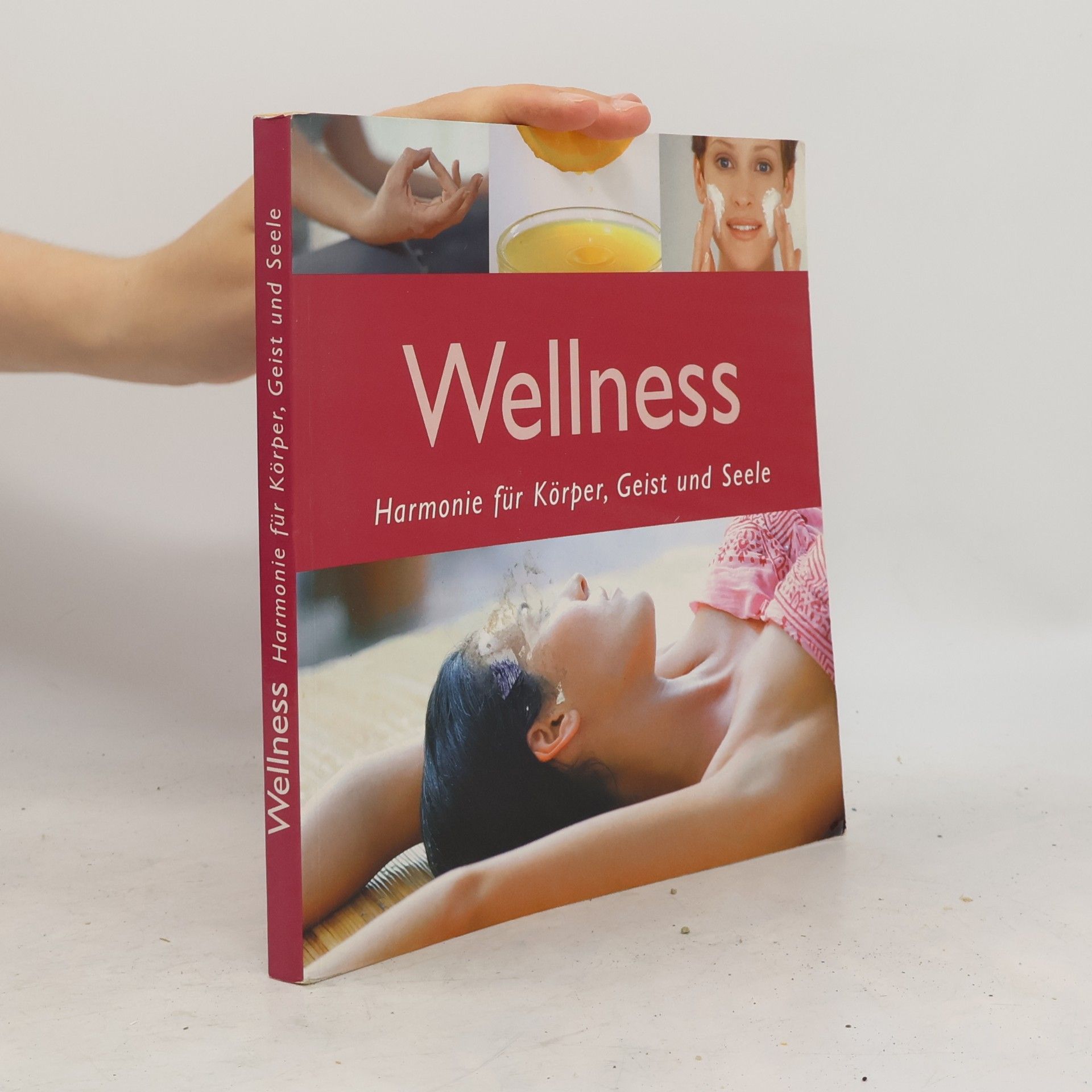 Kolektív autorov Das große Wellnessbuch
