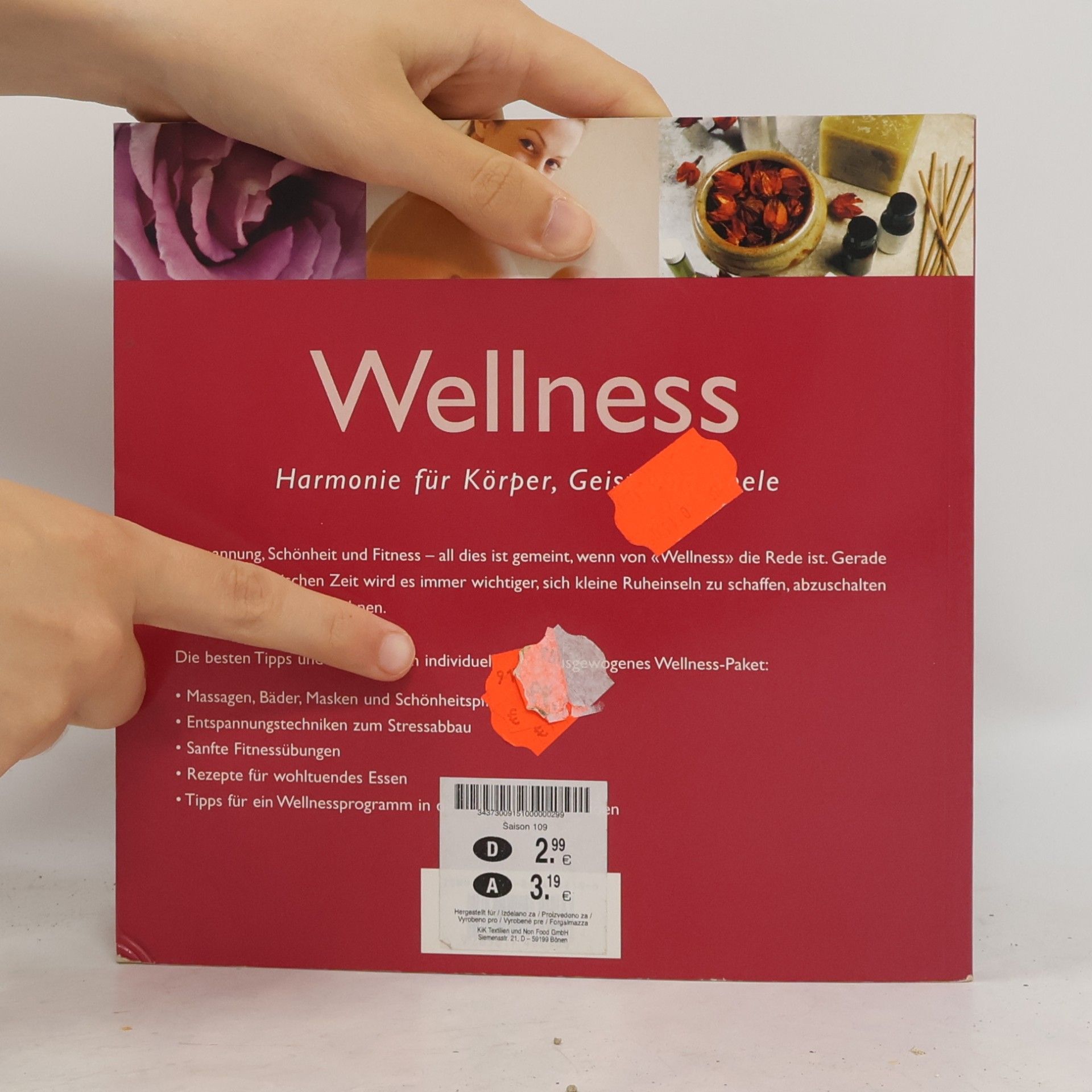 Kolektív autorov Das große Wellnessbuch
