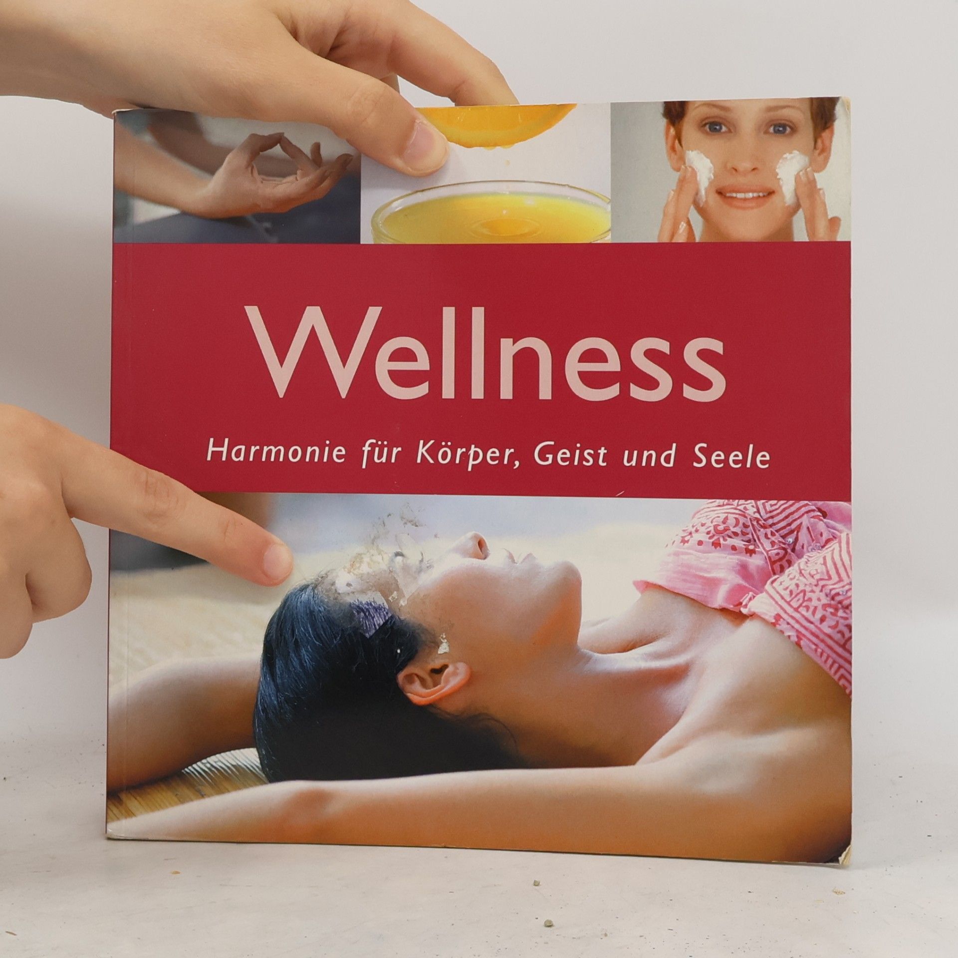 Kolektív autorov Das große Wellnessbuch
