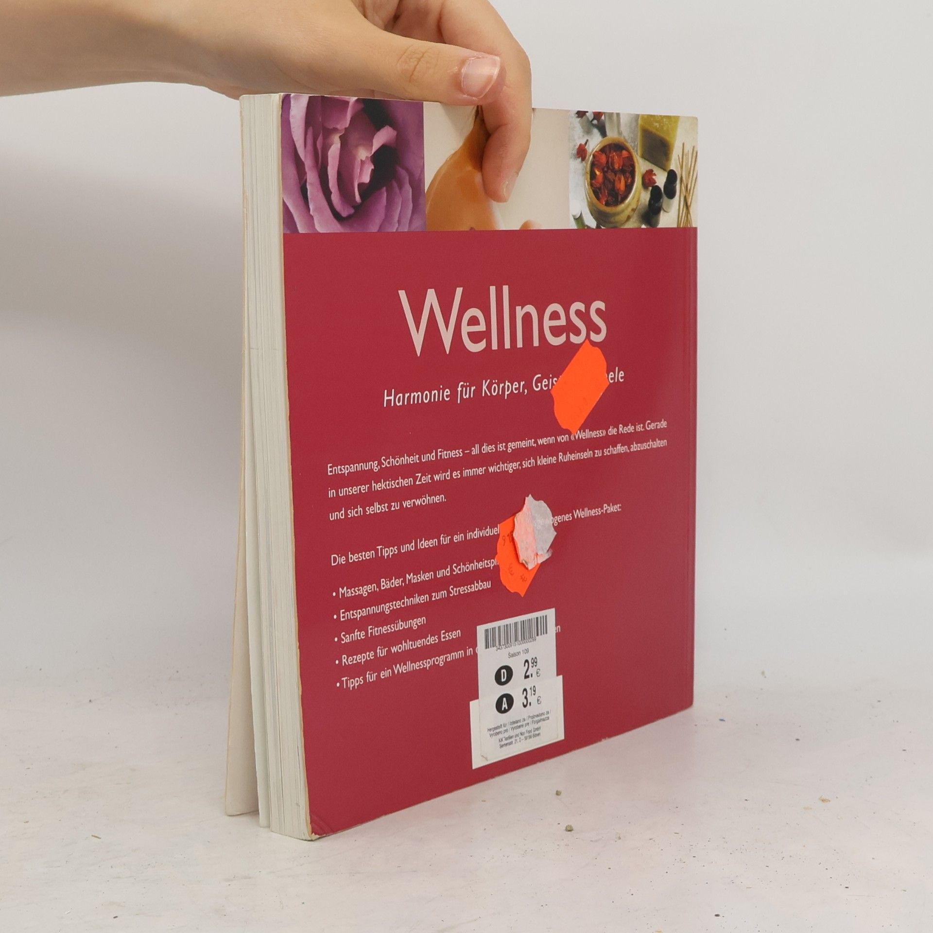 Kolektív autorov Das große Wellnessbuch