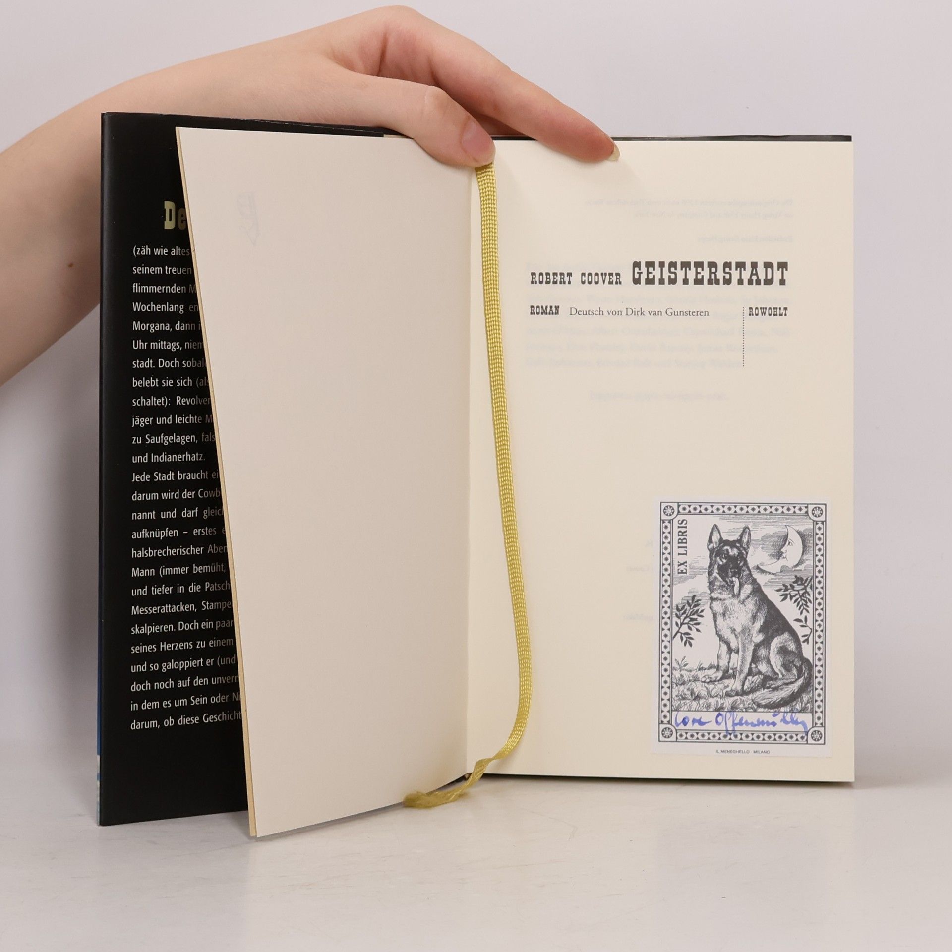 Robert Coover Geisterstadt