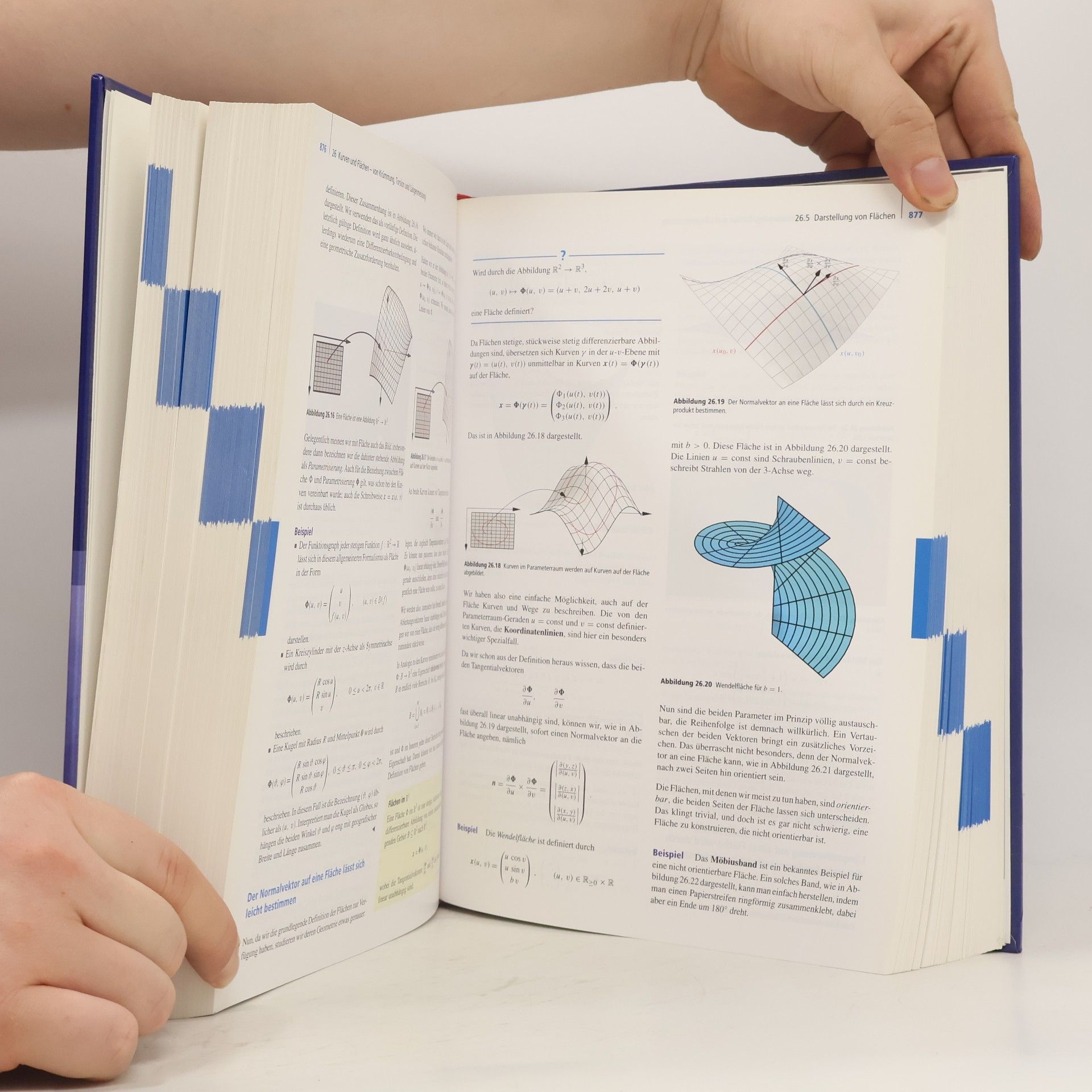 Tilo Arens Mathematik