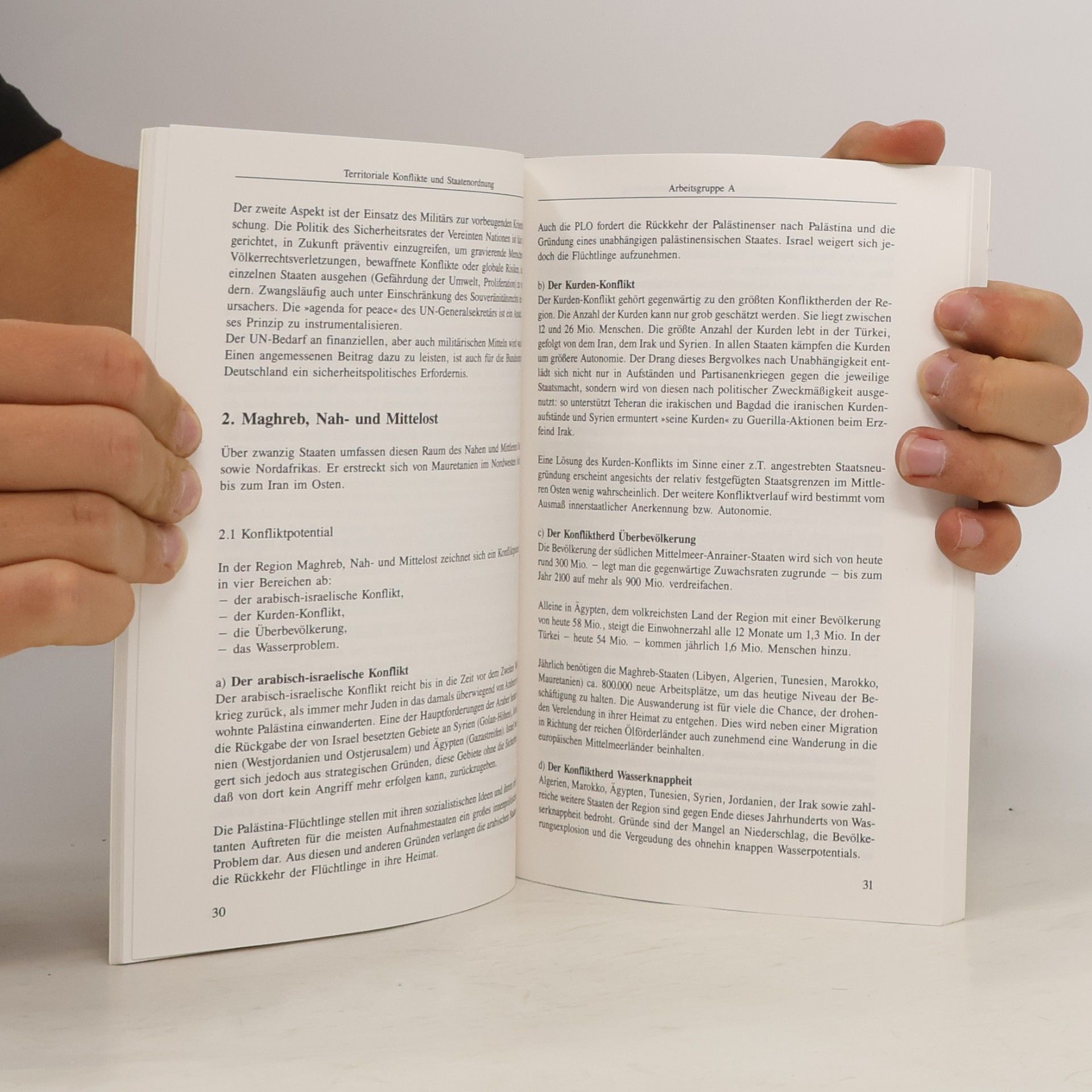 Dieter Wellershoff Schriftenreihe zur Neuen Sicherheitspolitik - 3: Herausforderungen und Risiken