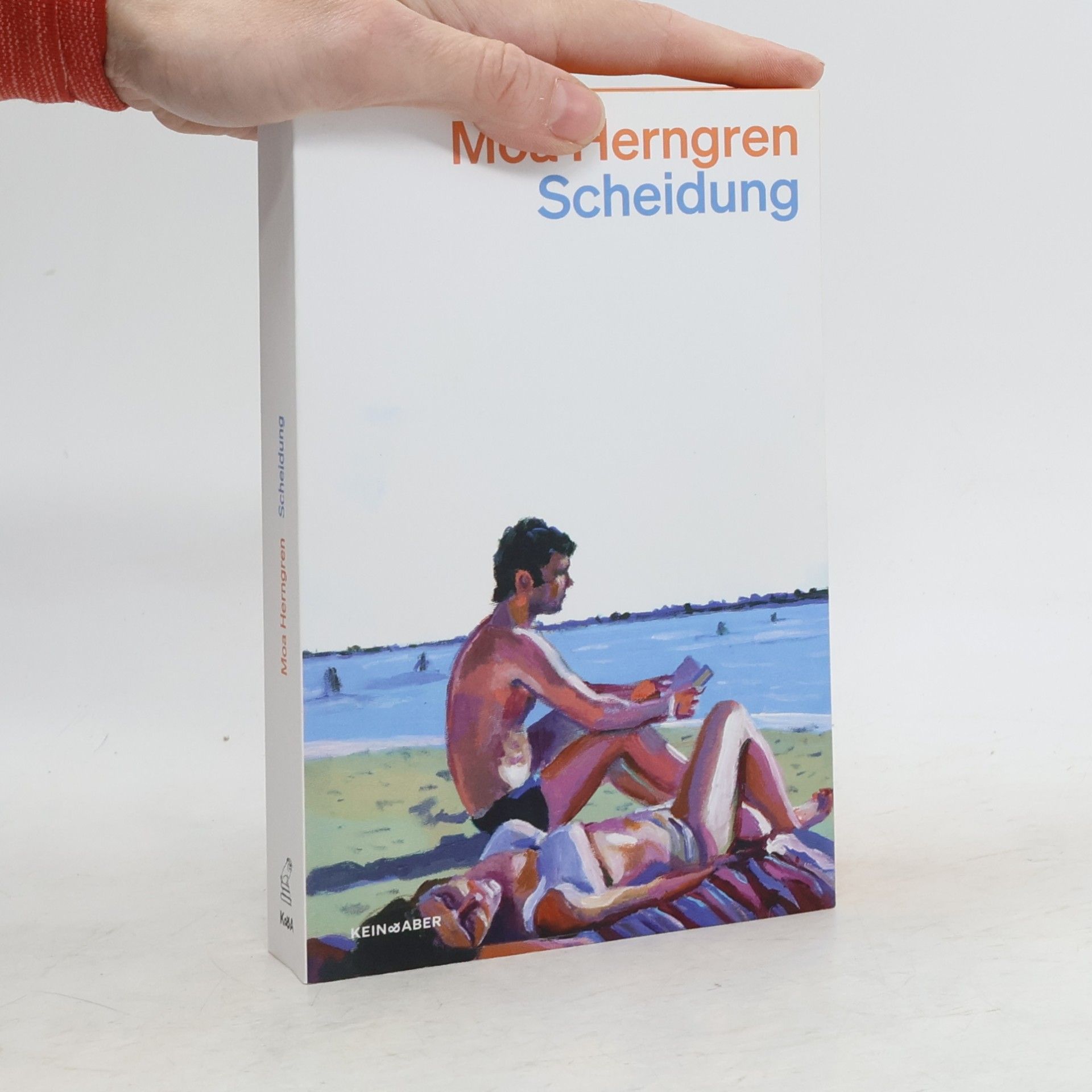Moa Herngren Scheidung: Ein Roman