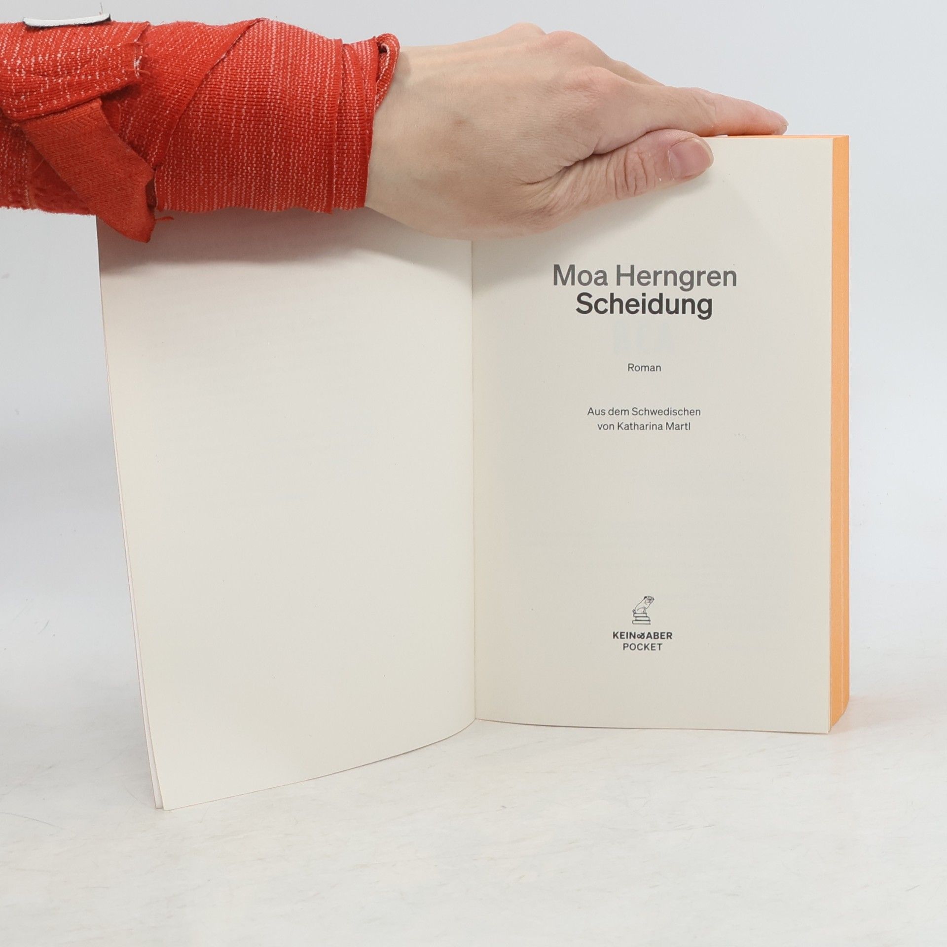 Moa Herngren Scheidung: Ein Roman