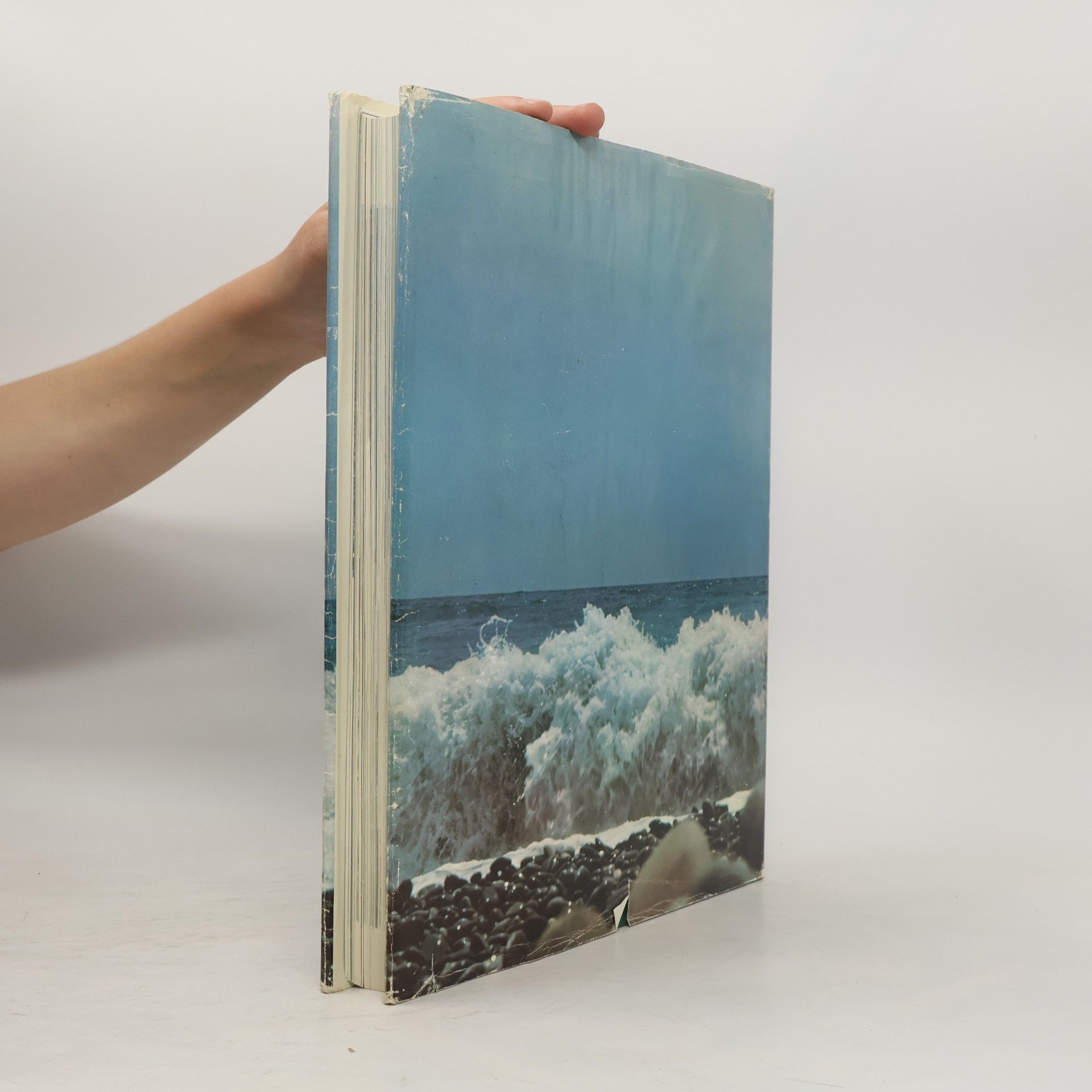 Robert Gerwin Das große Reader's Digest Buch der Ozeane