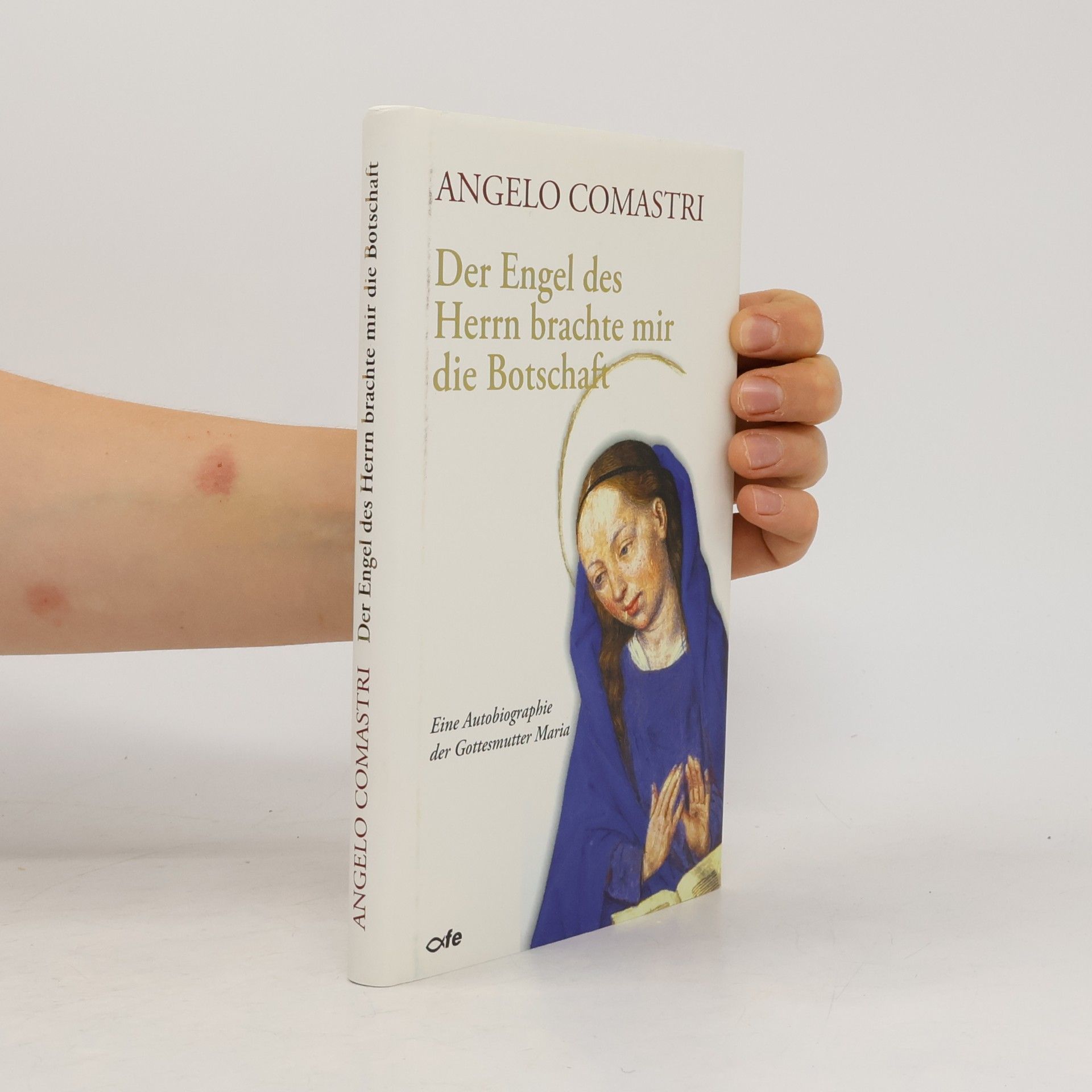 Angelo Comastri Der Engel des Herrn brachte mir die Botschaft