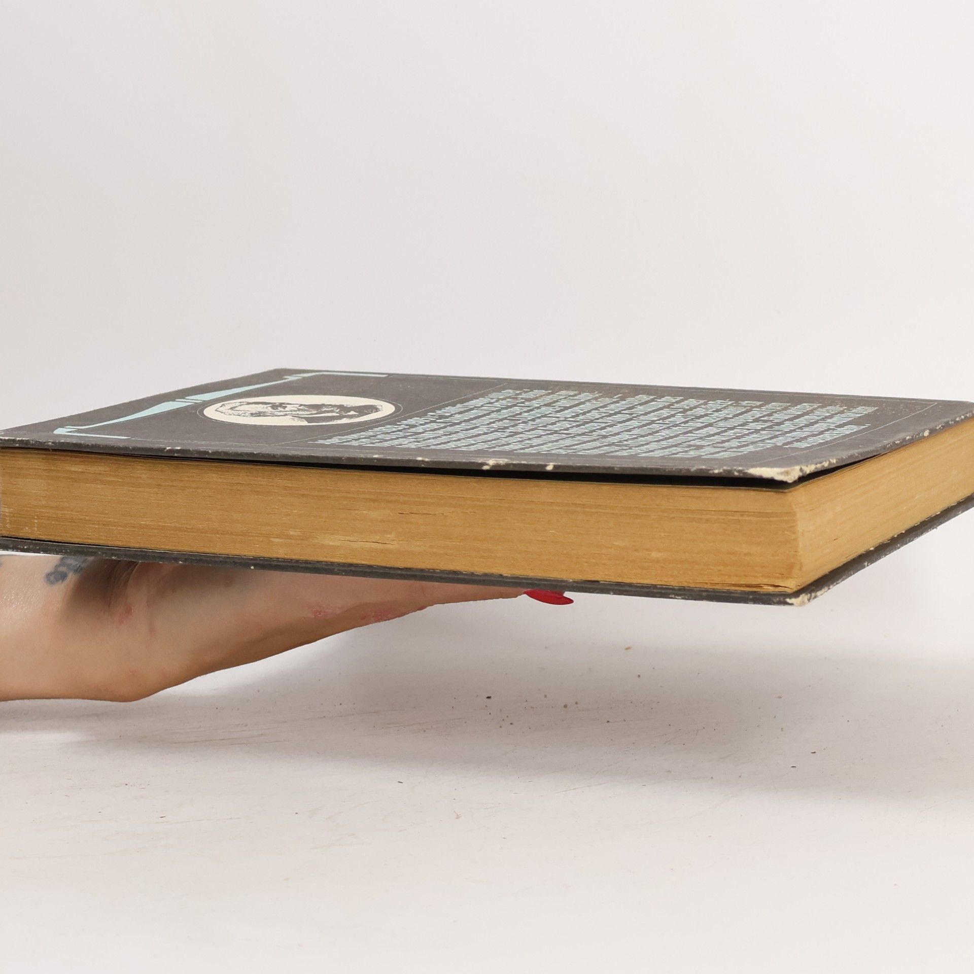 Jules Verne Die Reise um die Erde in 80 Tagen. Reise zum Mittelpunkt der Erde