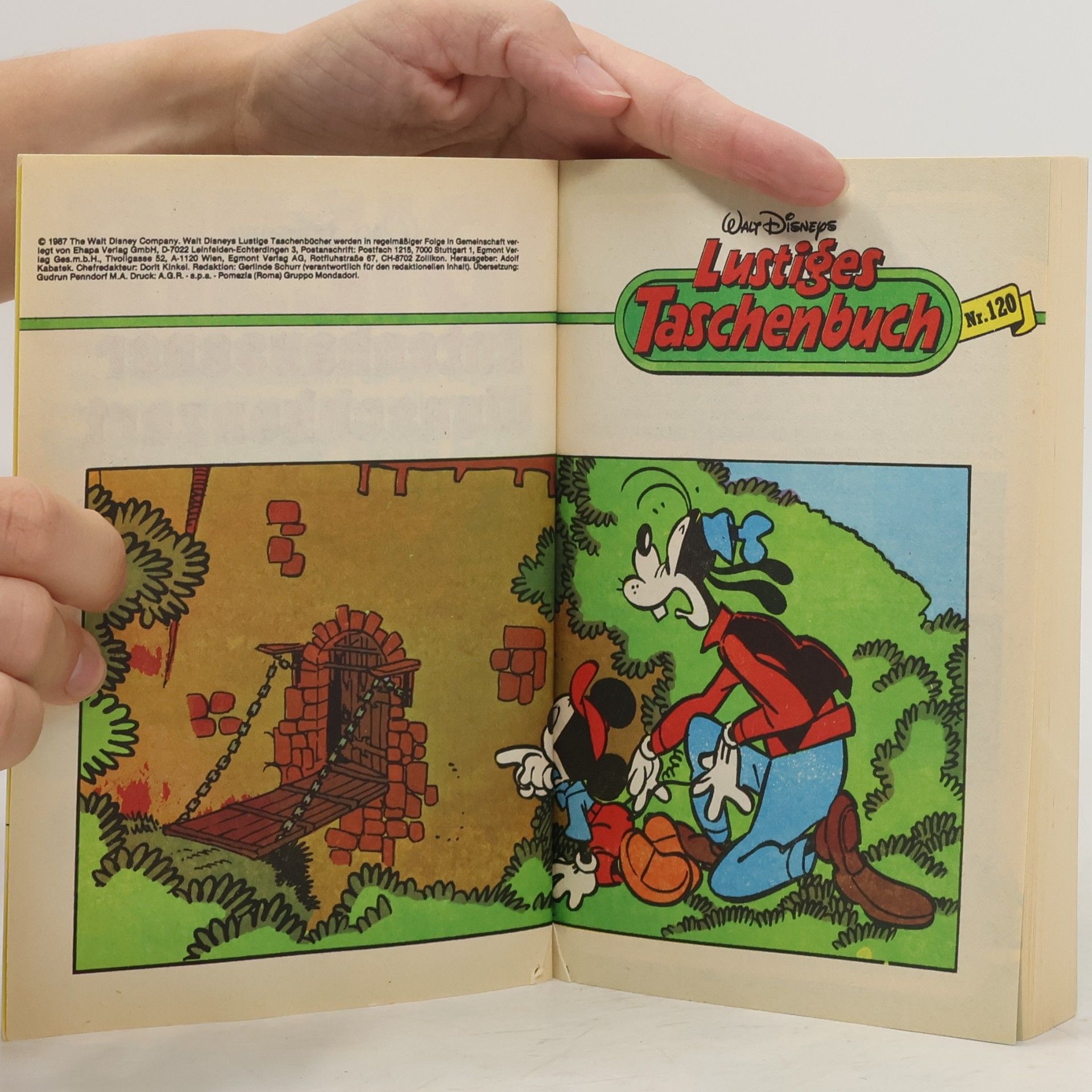 Walt Disney Lustiges Taschenbuch 120. Entenhausener Wunschkonzert