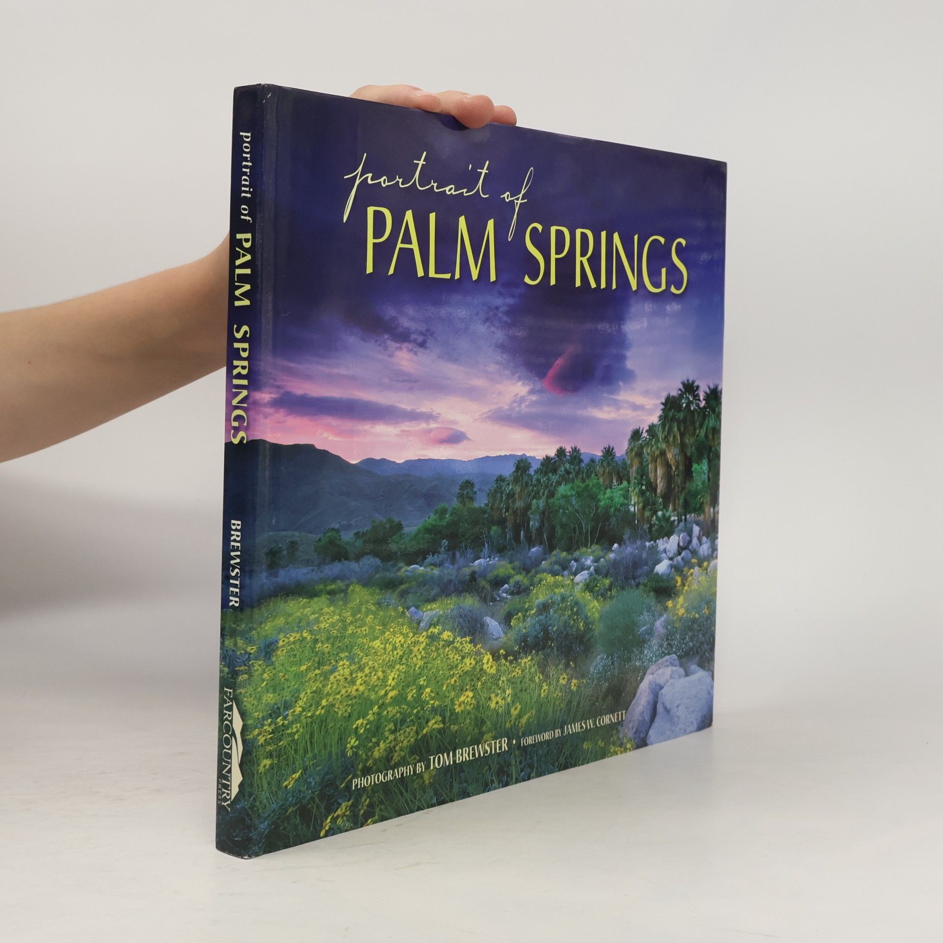 Tom Brewster Portrait of Palm Springs