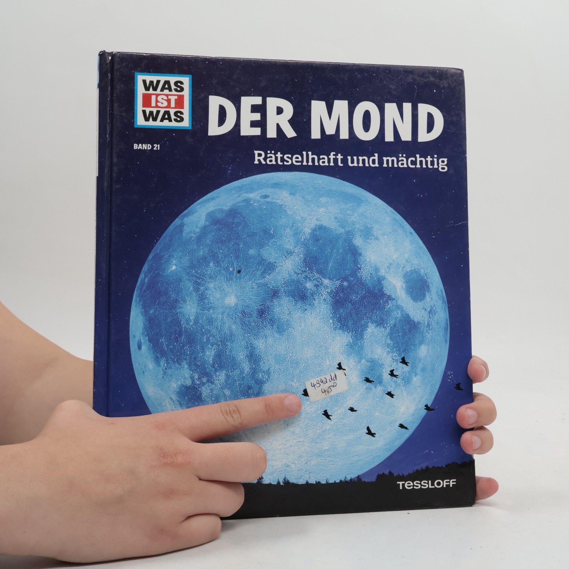 Manfred Baur Mond