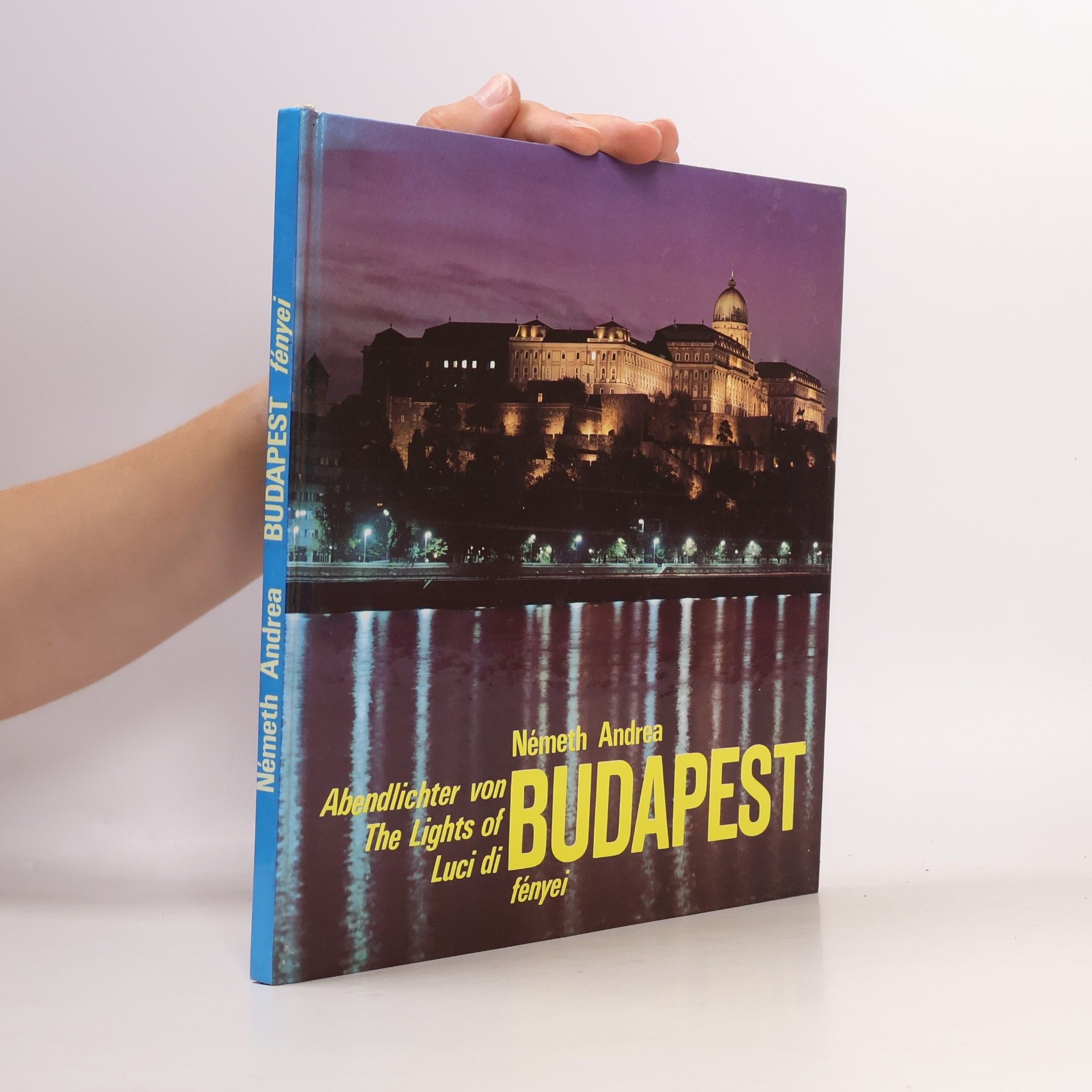 Andrea Ne meth Abendlichter von Budapest