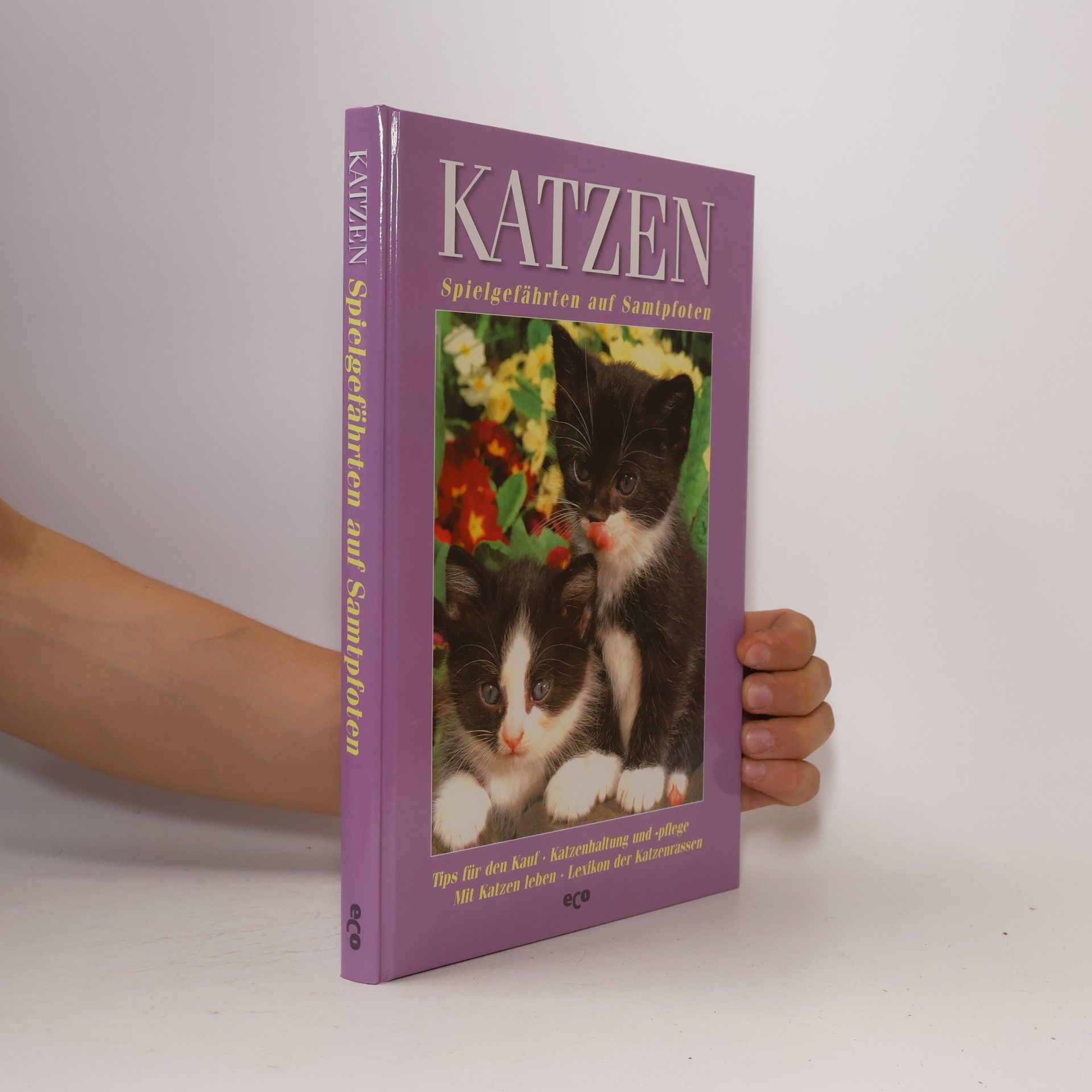Joachim Grau Katzen: Spielgefährten auf Samtpfoten