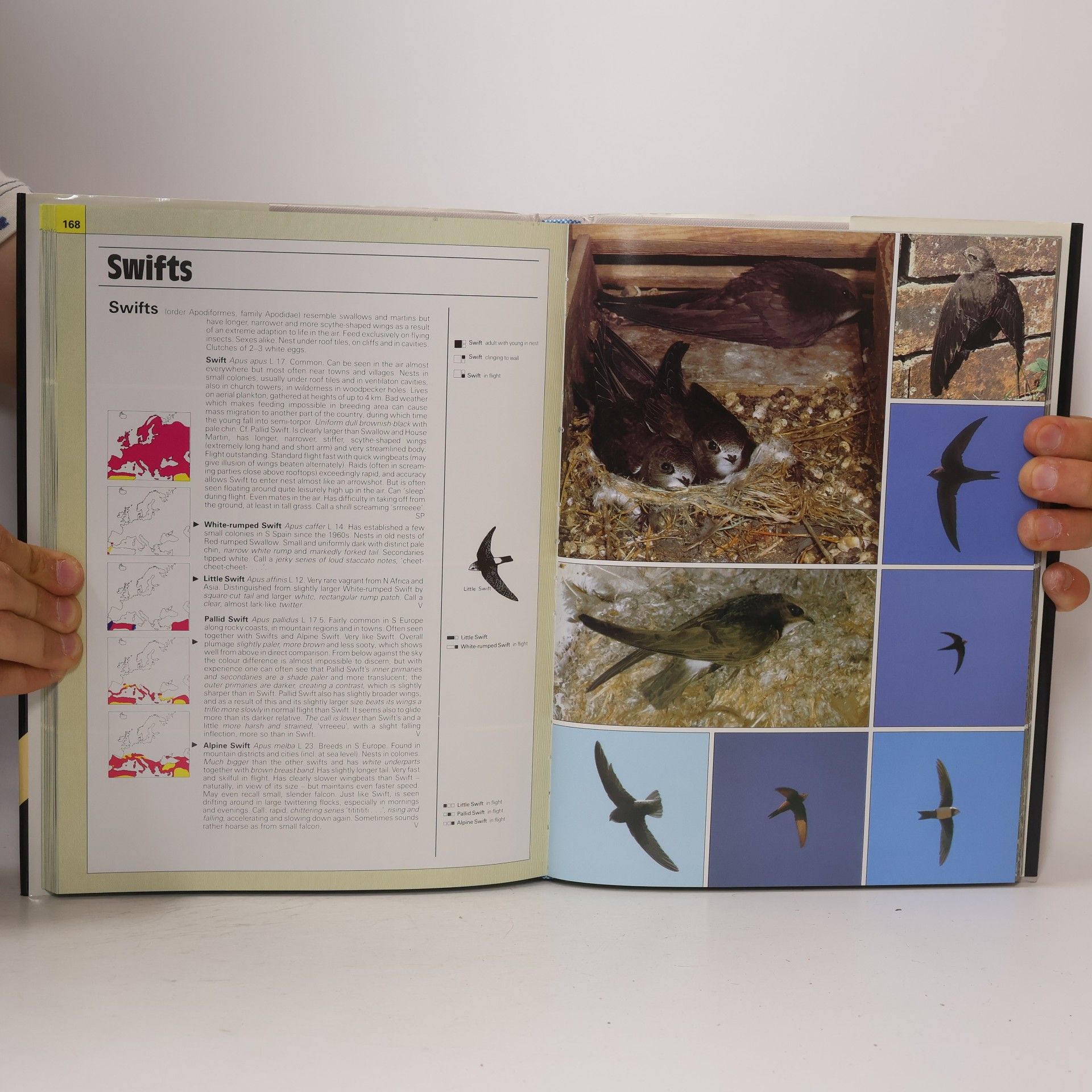 Håkan Delin Photographic Guide to the Birds of Britain and Europe