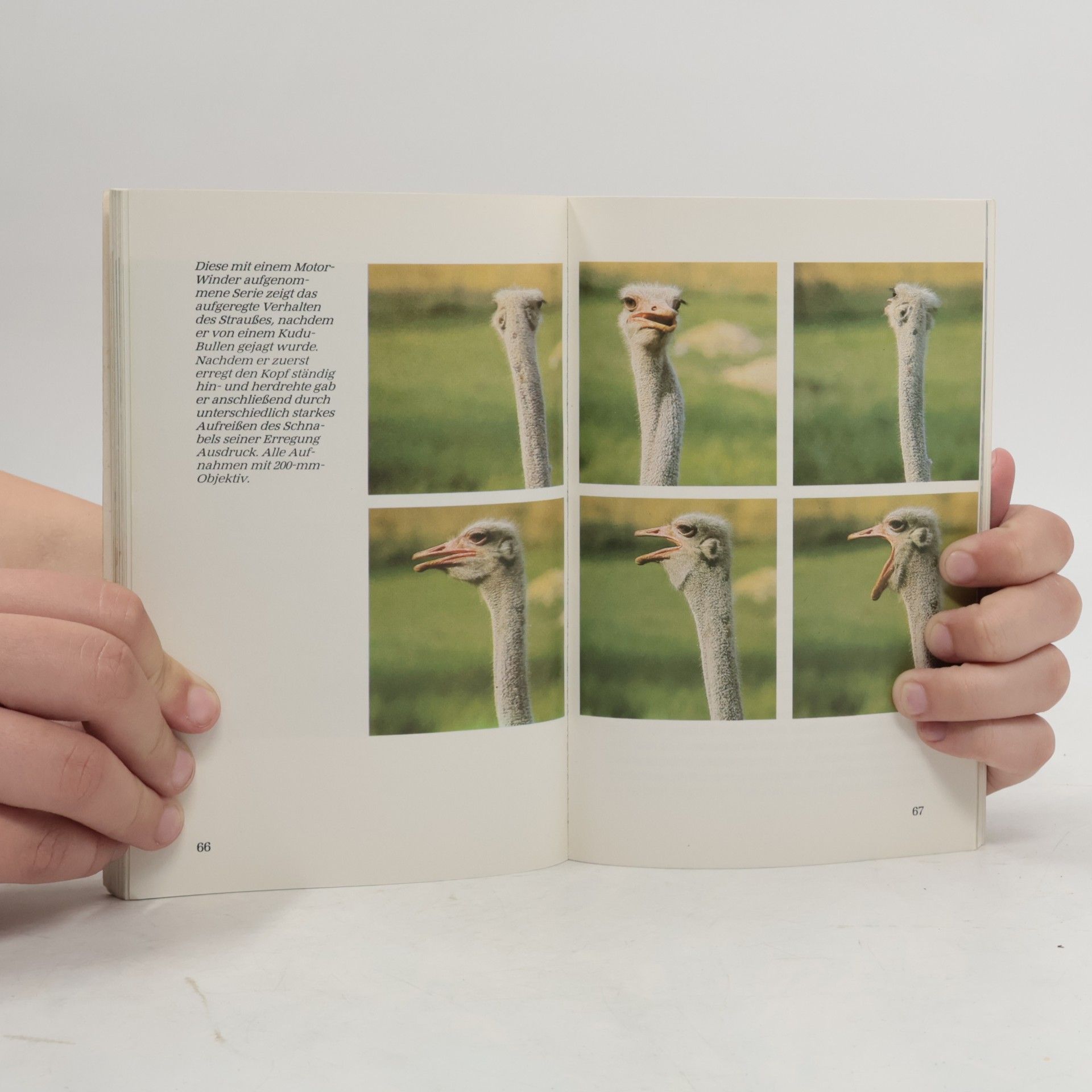 Herbert E. Ernst Erfolgreiche Tierfotografie