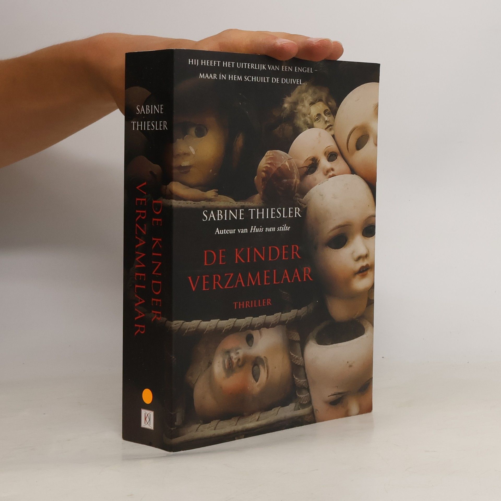 Sabine Thiesler De kinderverzamelaar