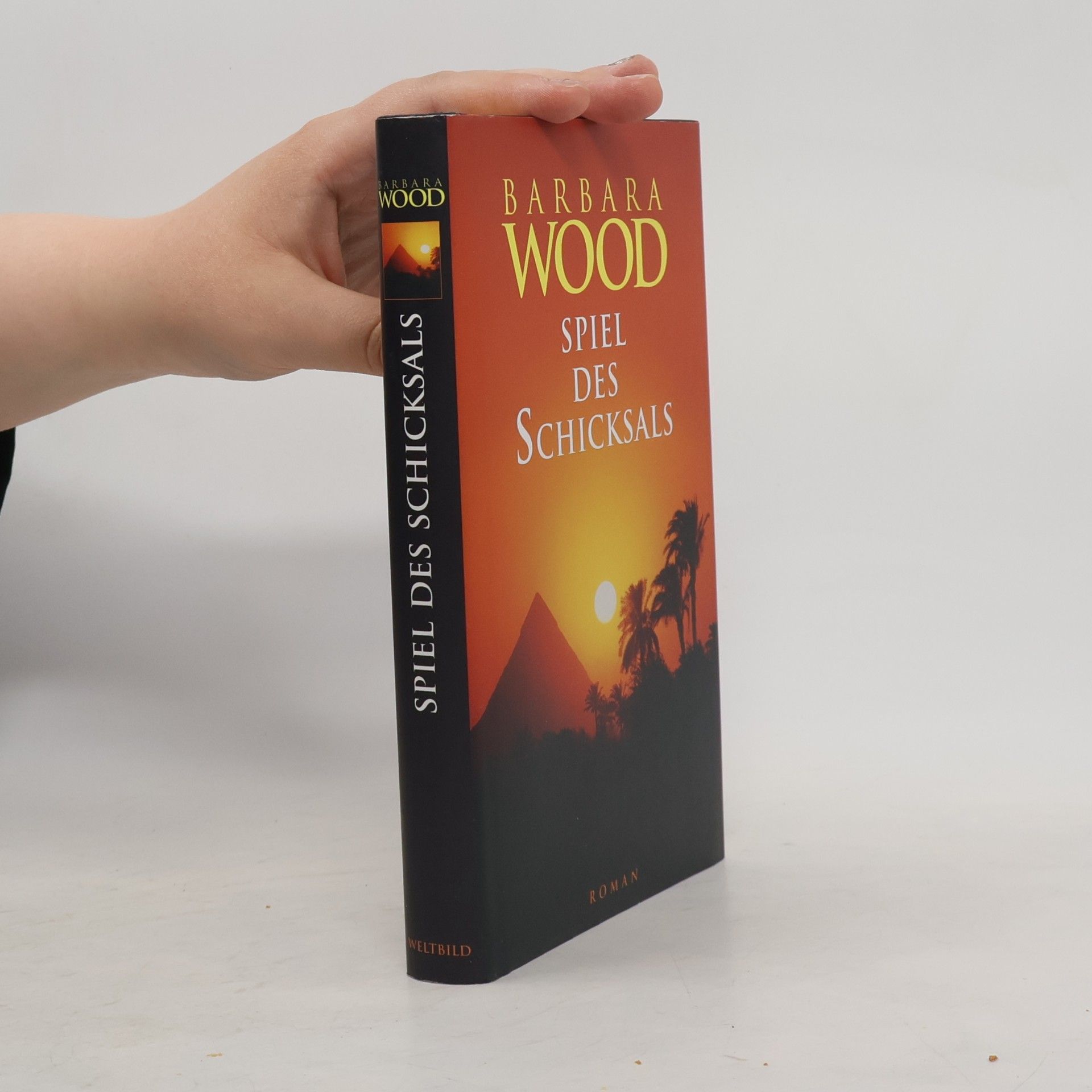 Barbara Wood Spiel des Schicksals
