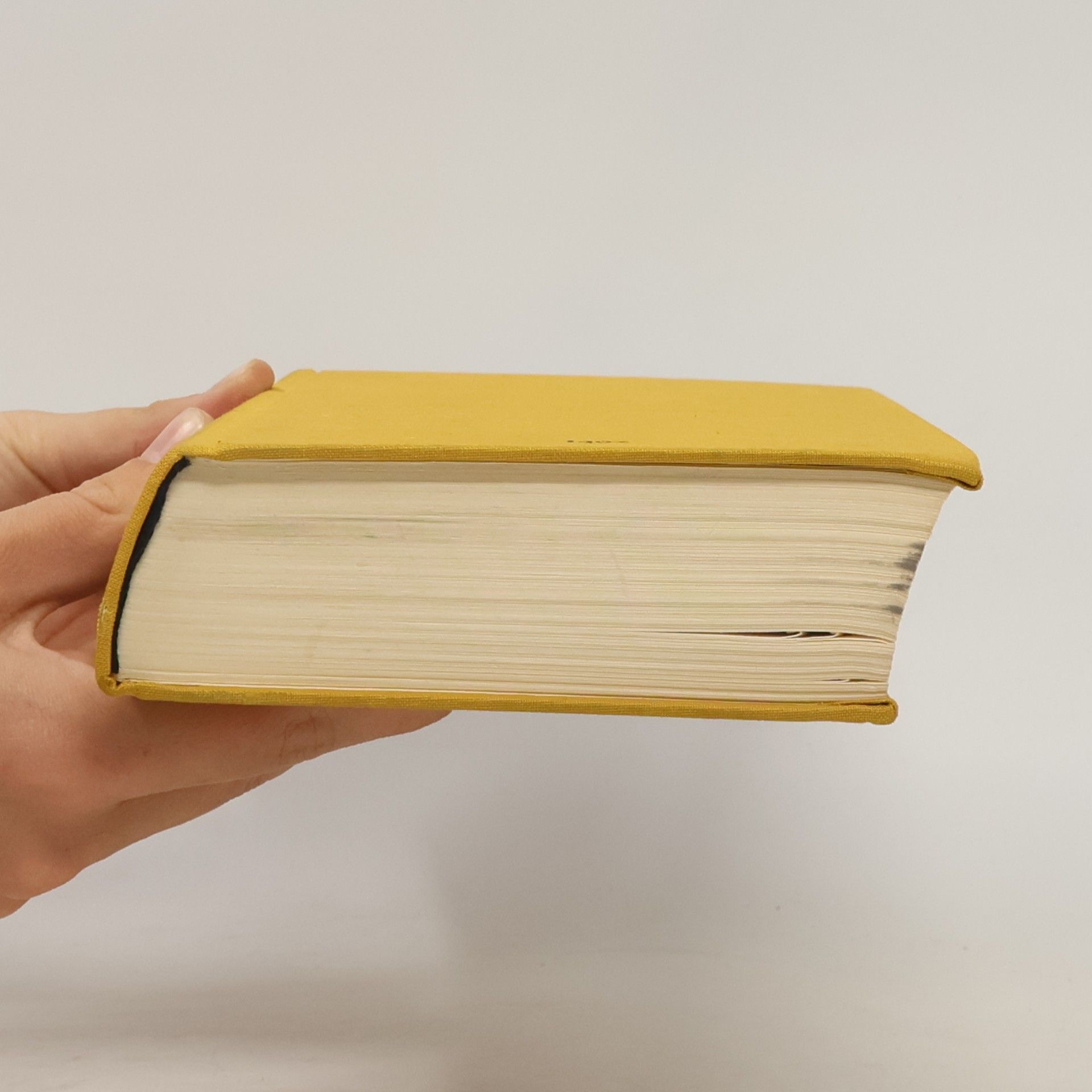 Christoph Columbus Das Bordbuch 1492