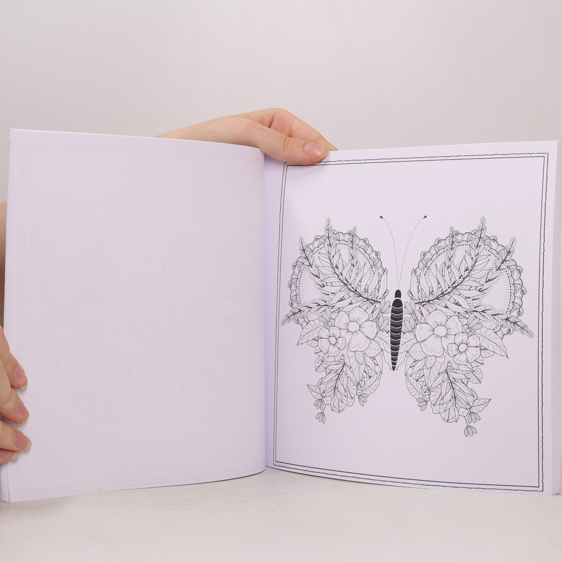 Malbuch für Erwachsene: Elegante Schmetterlinge