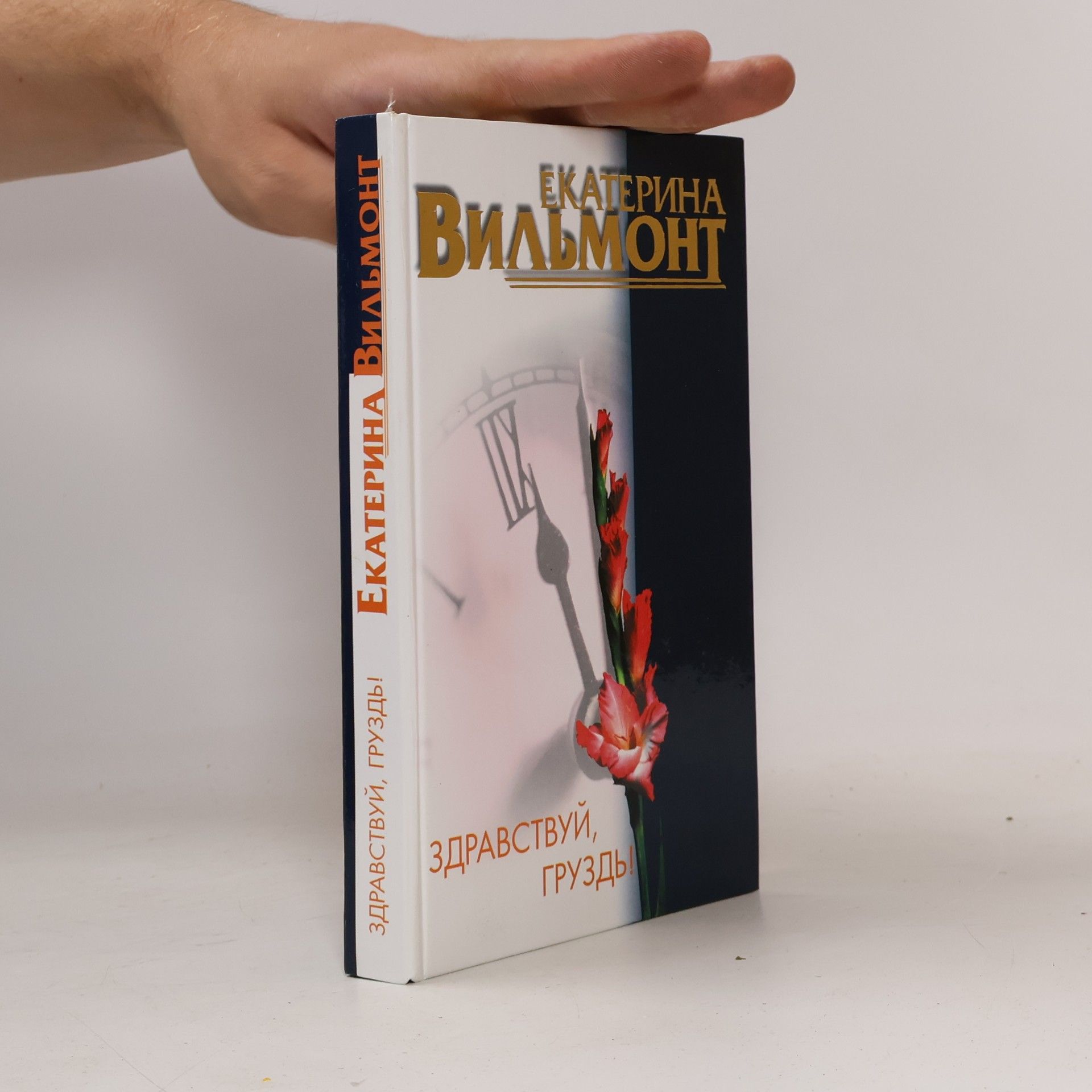 Екатерина Вильмонт Здравствуй, Груздь!