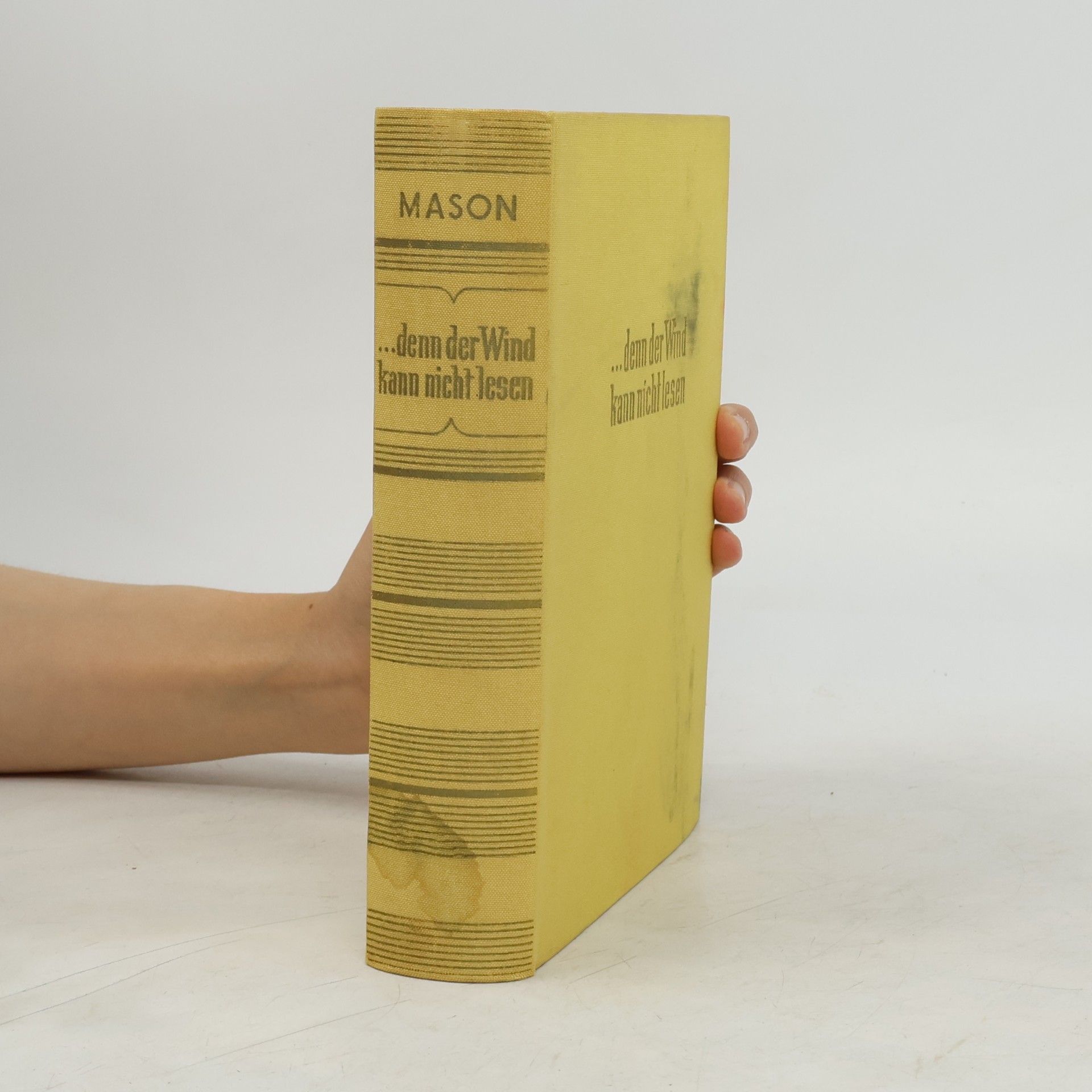 Richard Mason Denn der Wind kann nicht lesen