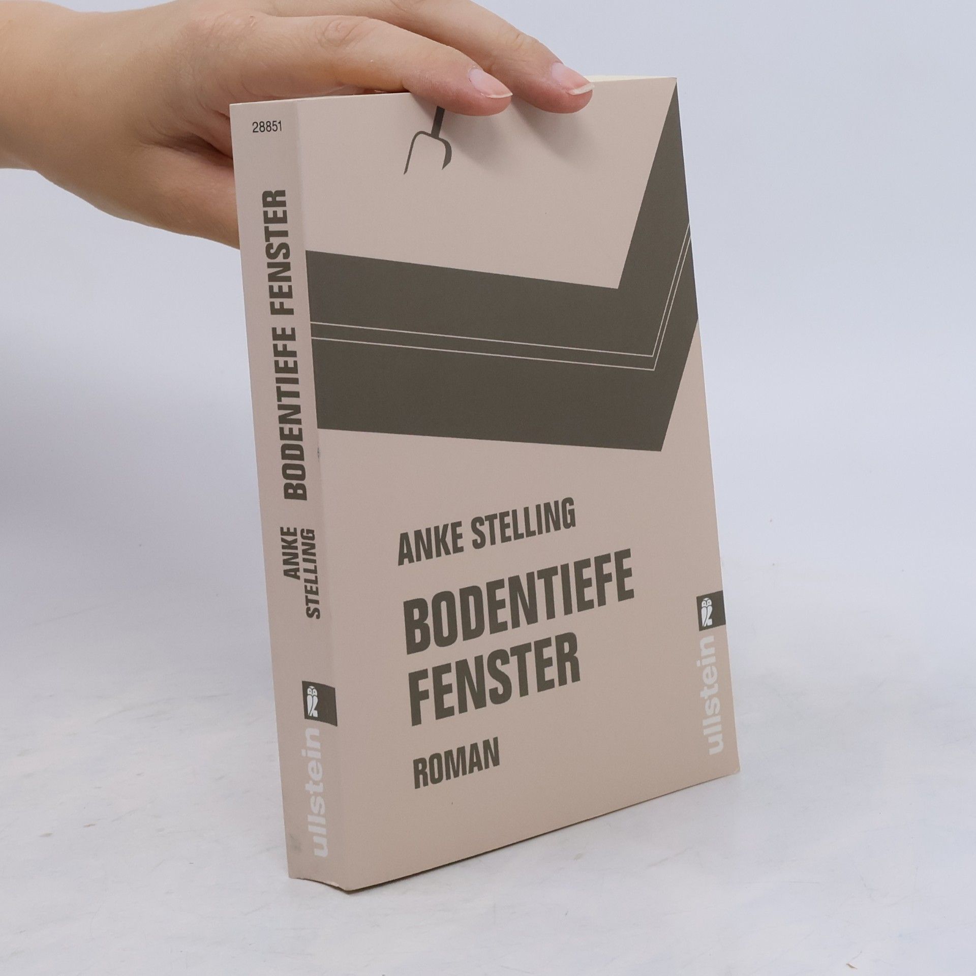 Anke Stelling Bodentiefe Fenster
