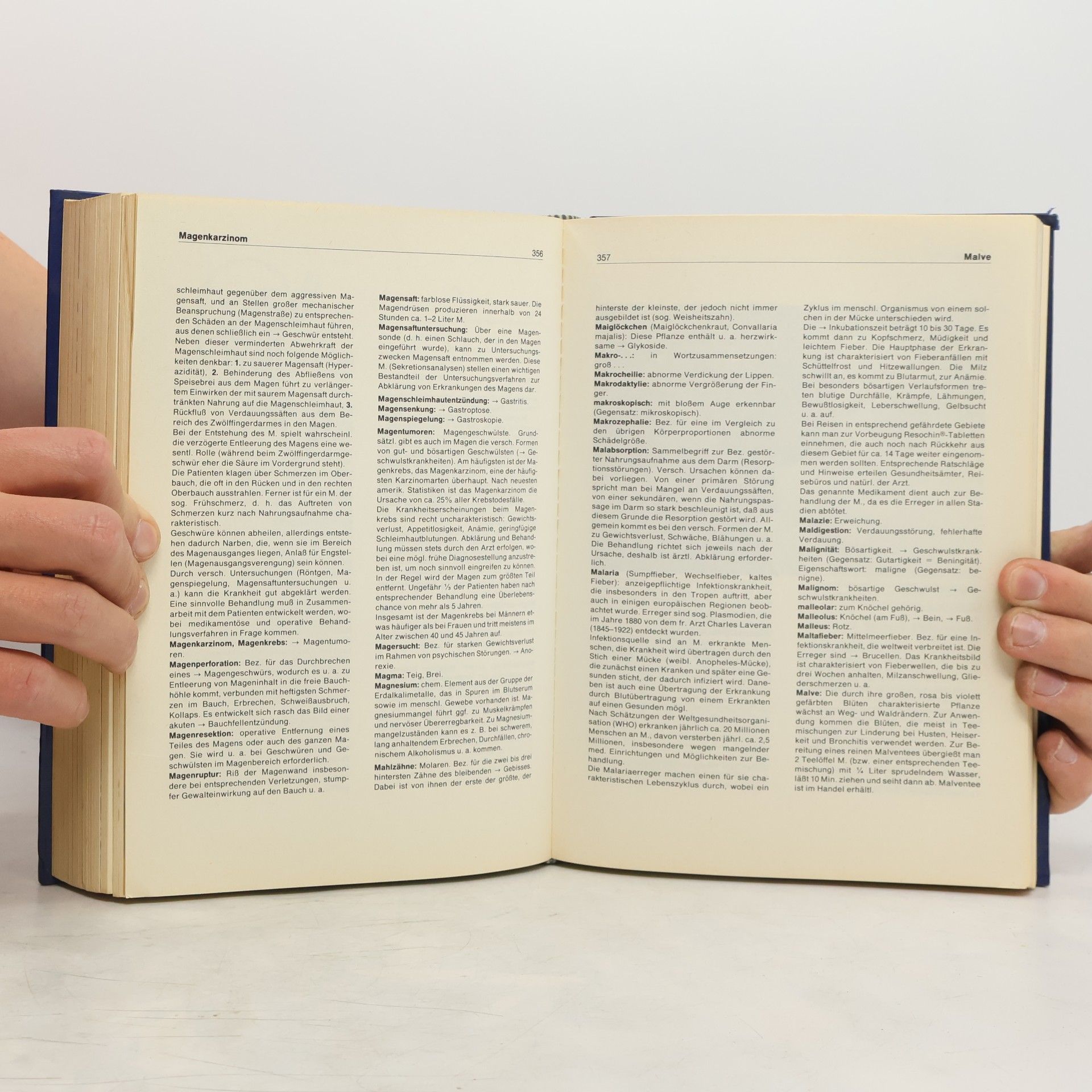 Autorenkollektiv Das große Gesundheits Lexikon