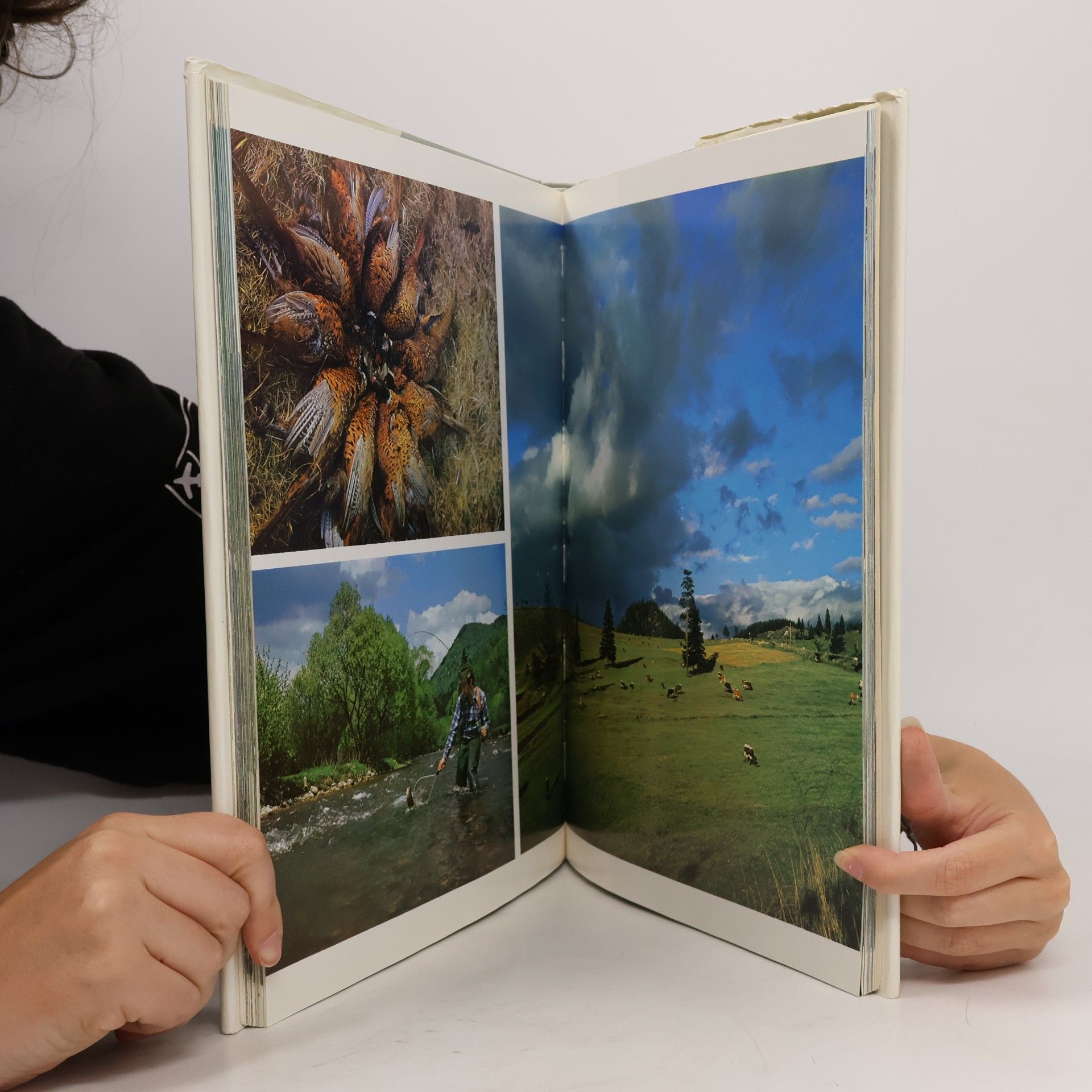 Collectif d'auteurs Slovensko