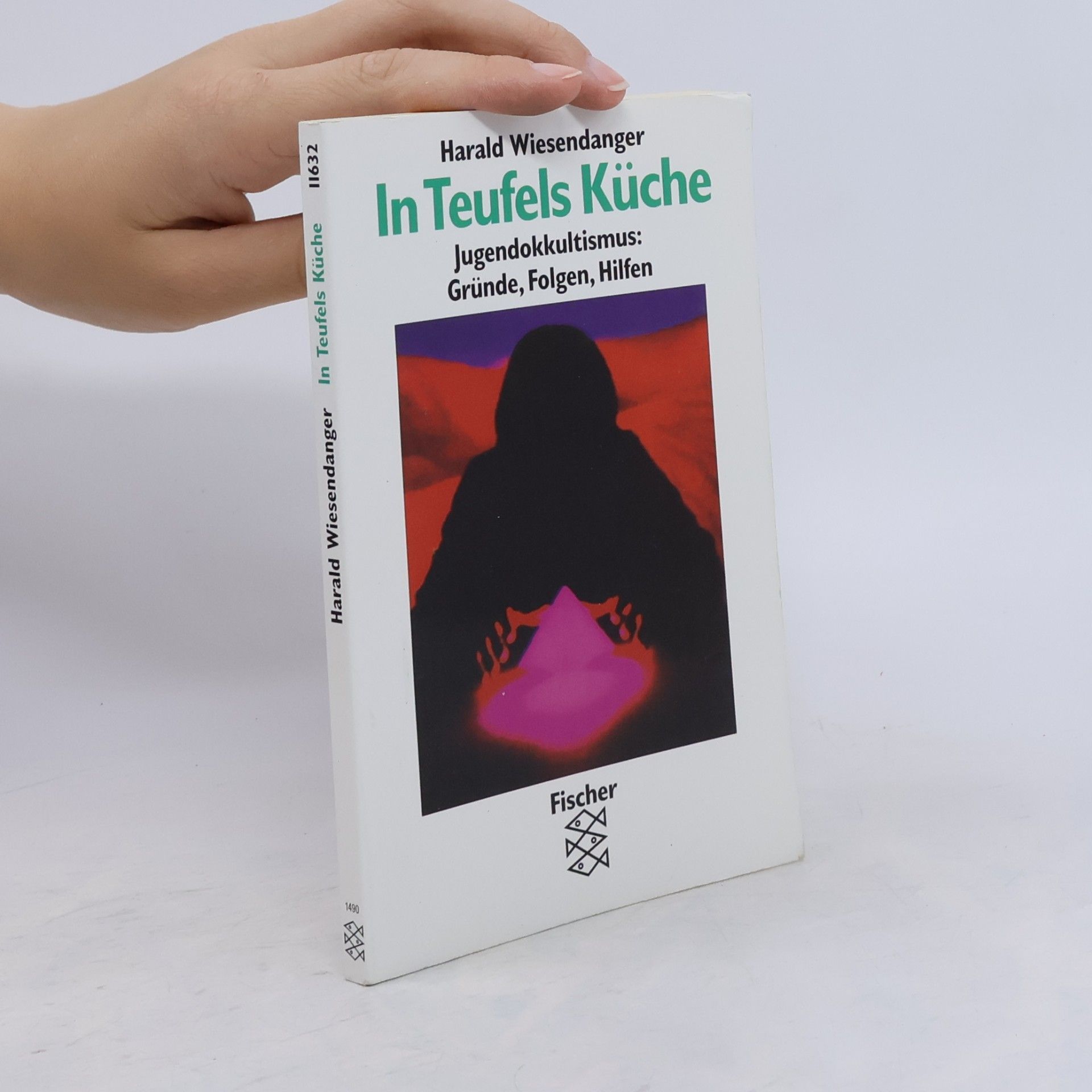 Harald Wiesendanger In Teufels Küche. Jugendokkultismus: Gründe, Folgen, Hilfen