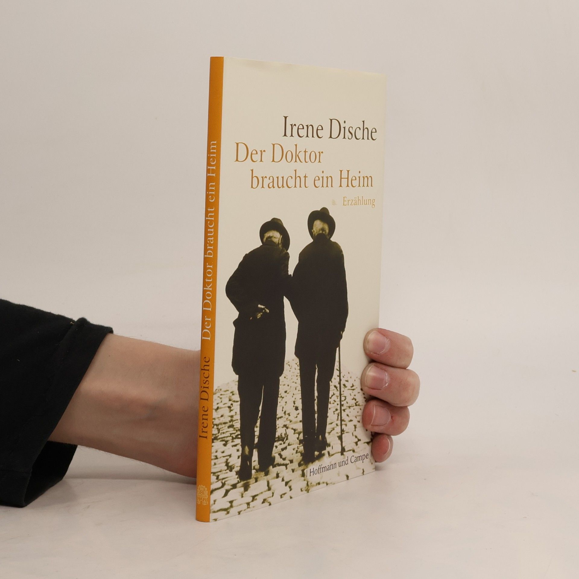 Irene Dische Der Doktor braucht ein Heim