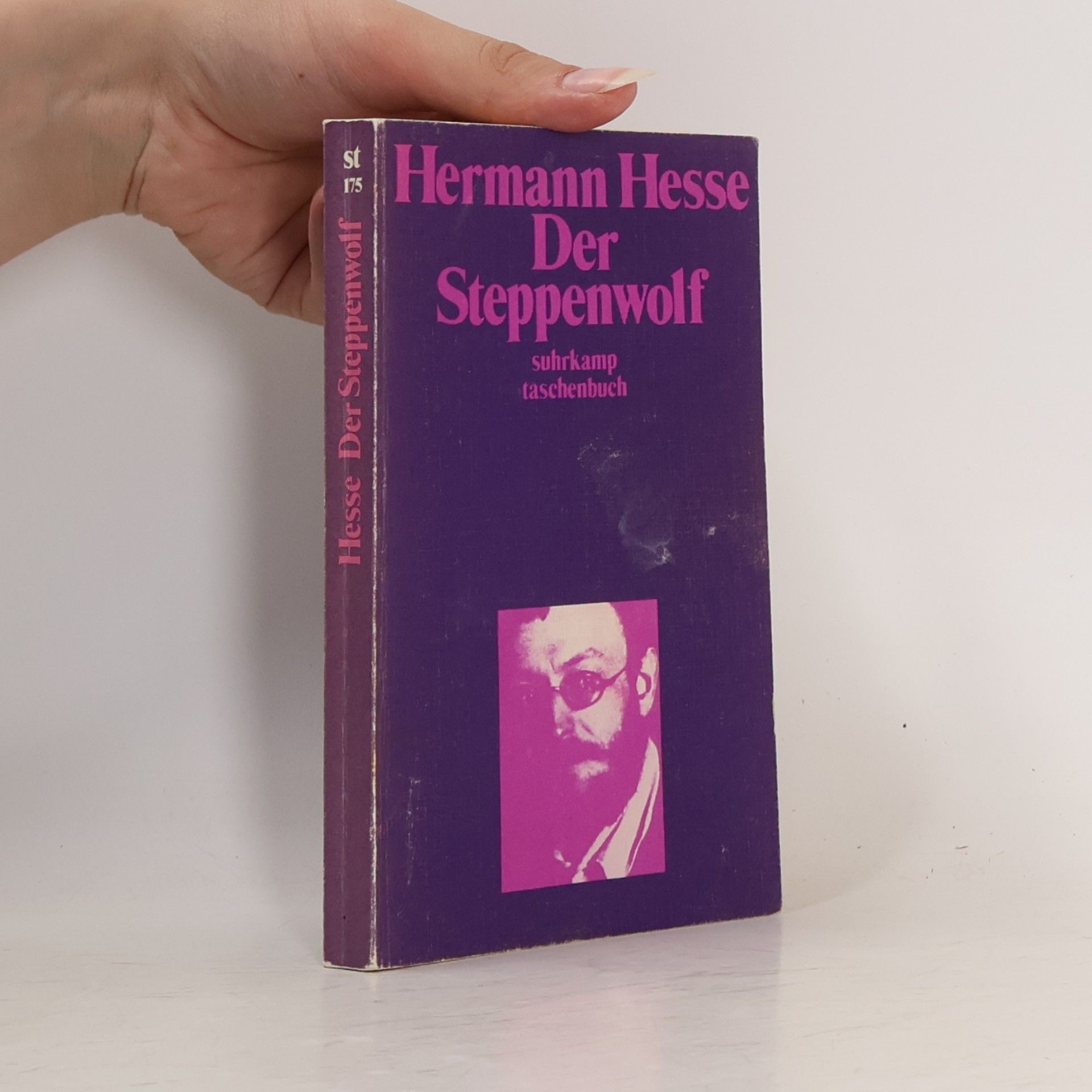 Hermann Hesse Der Steppenwolf