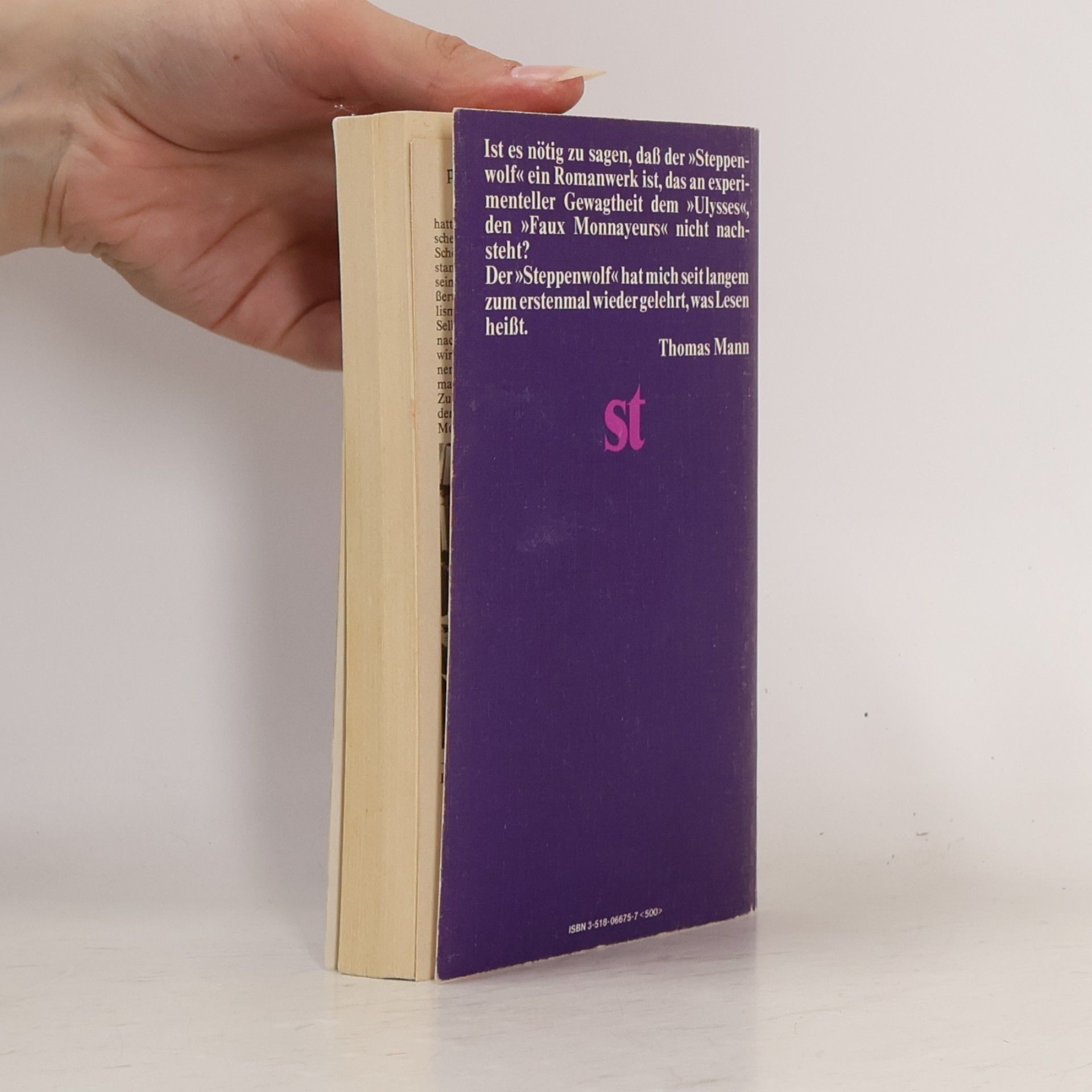 Hermann Hesse Der Steppenwolf