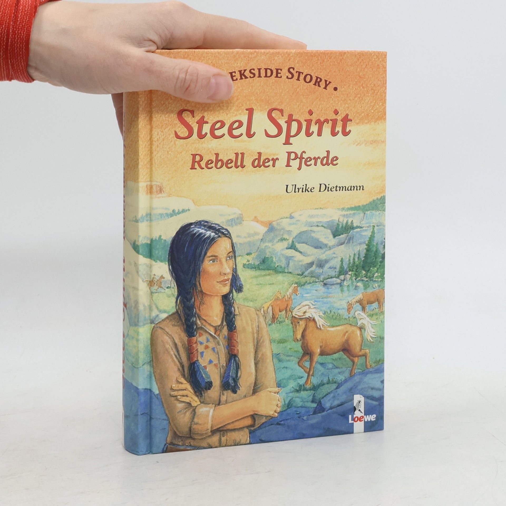 Ulrike Dietmann Steel Spirit - Rebell der Pferde. Creekside Story
