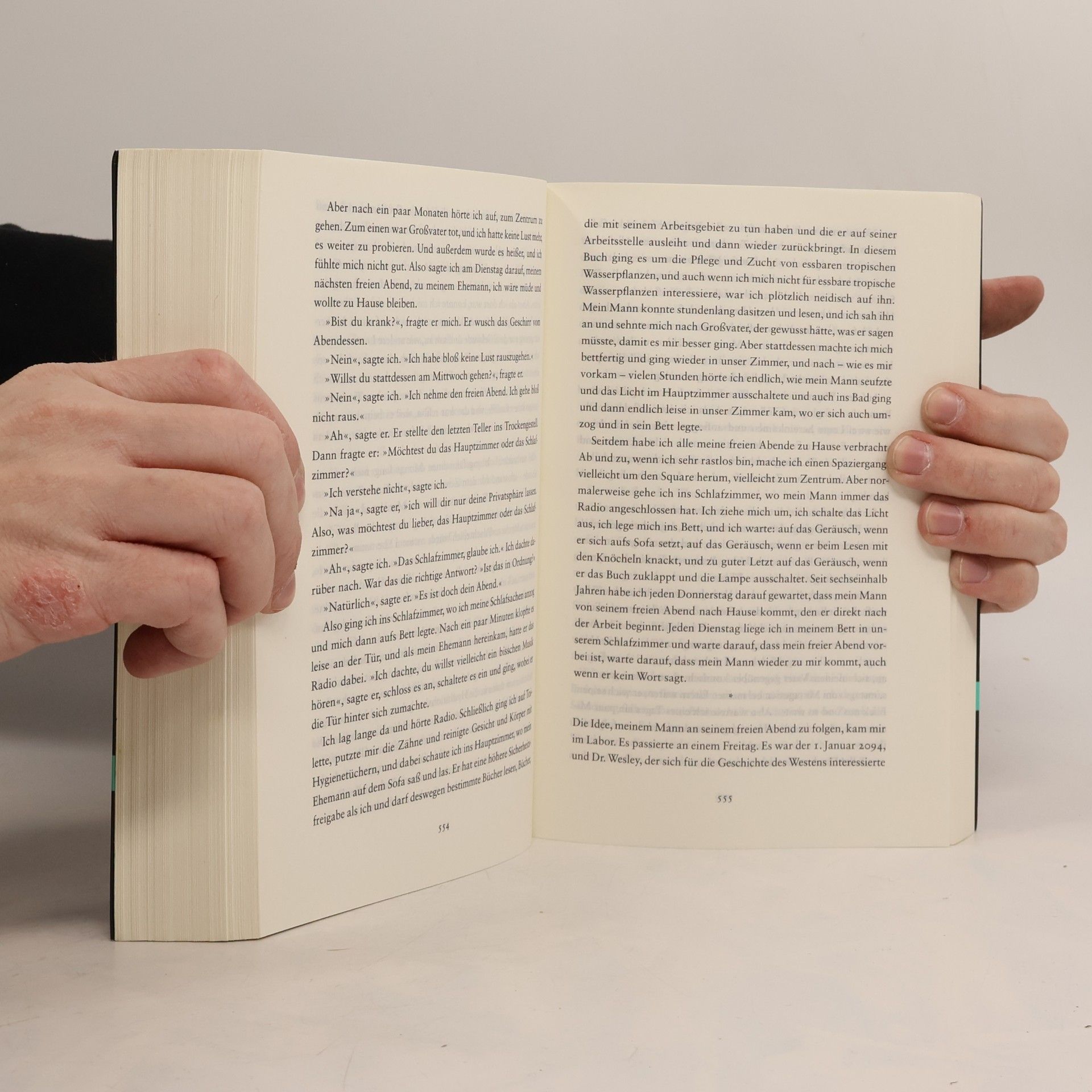 Hanya Yanagihara Zum Paradies
