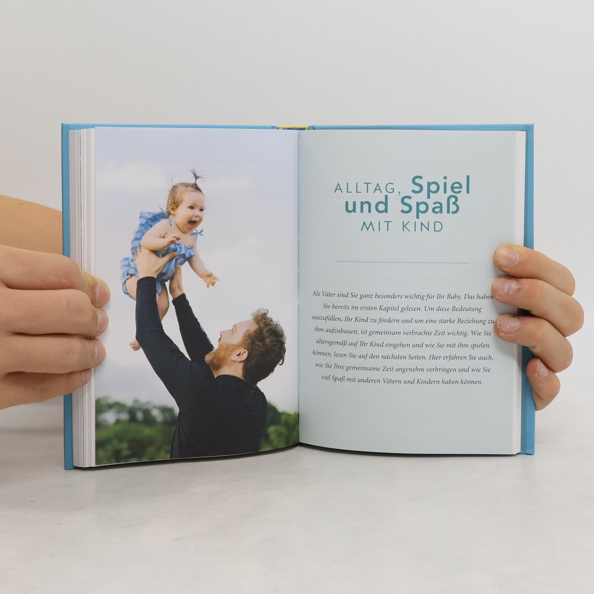 Robert Richter Das Papa-Handbuch