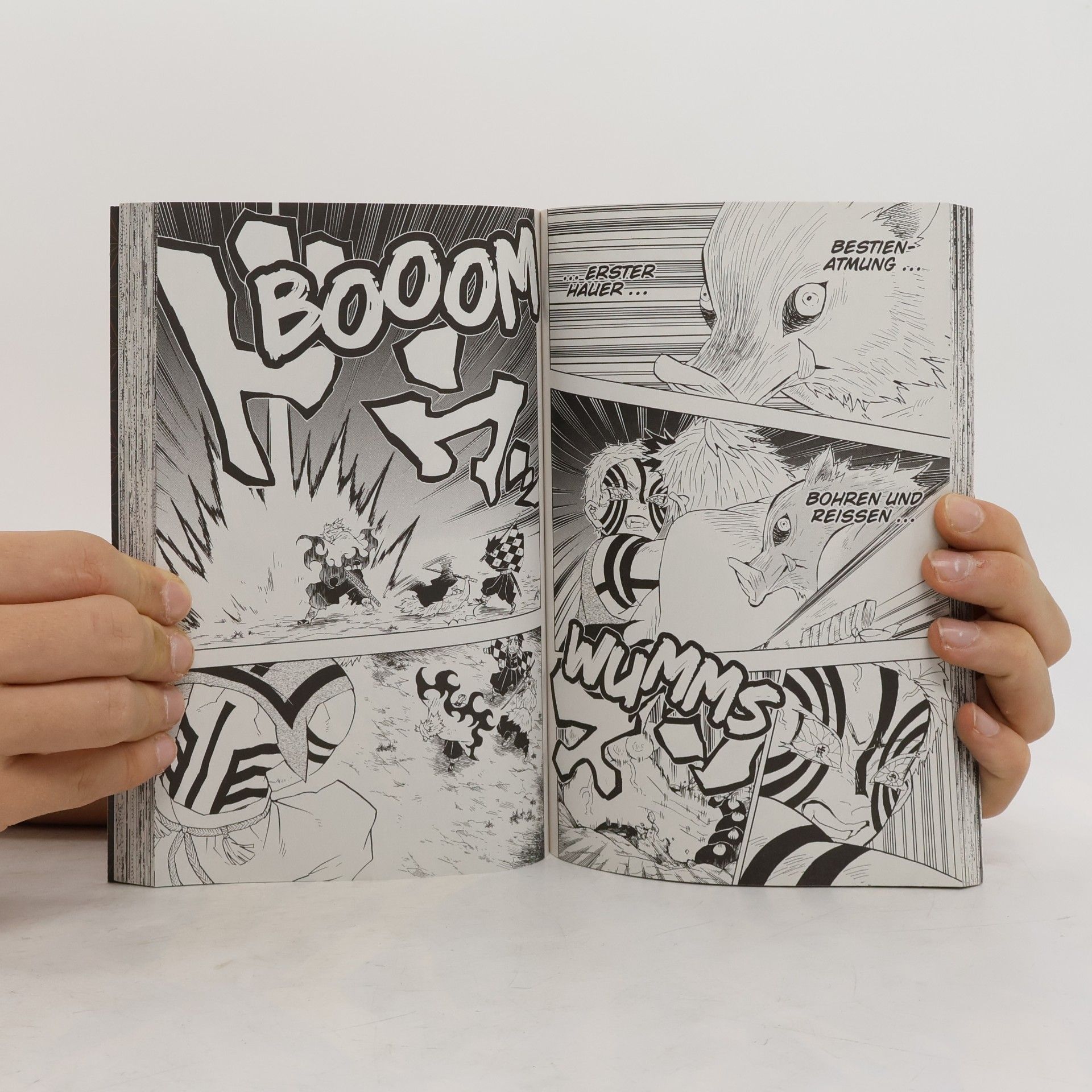 Koyoharu Gotōge Demon Slayer 8