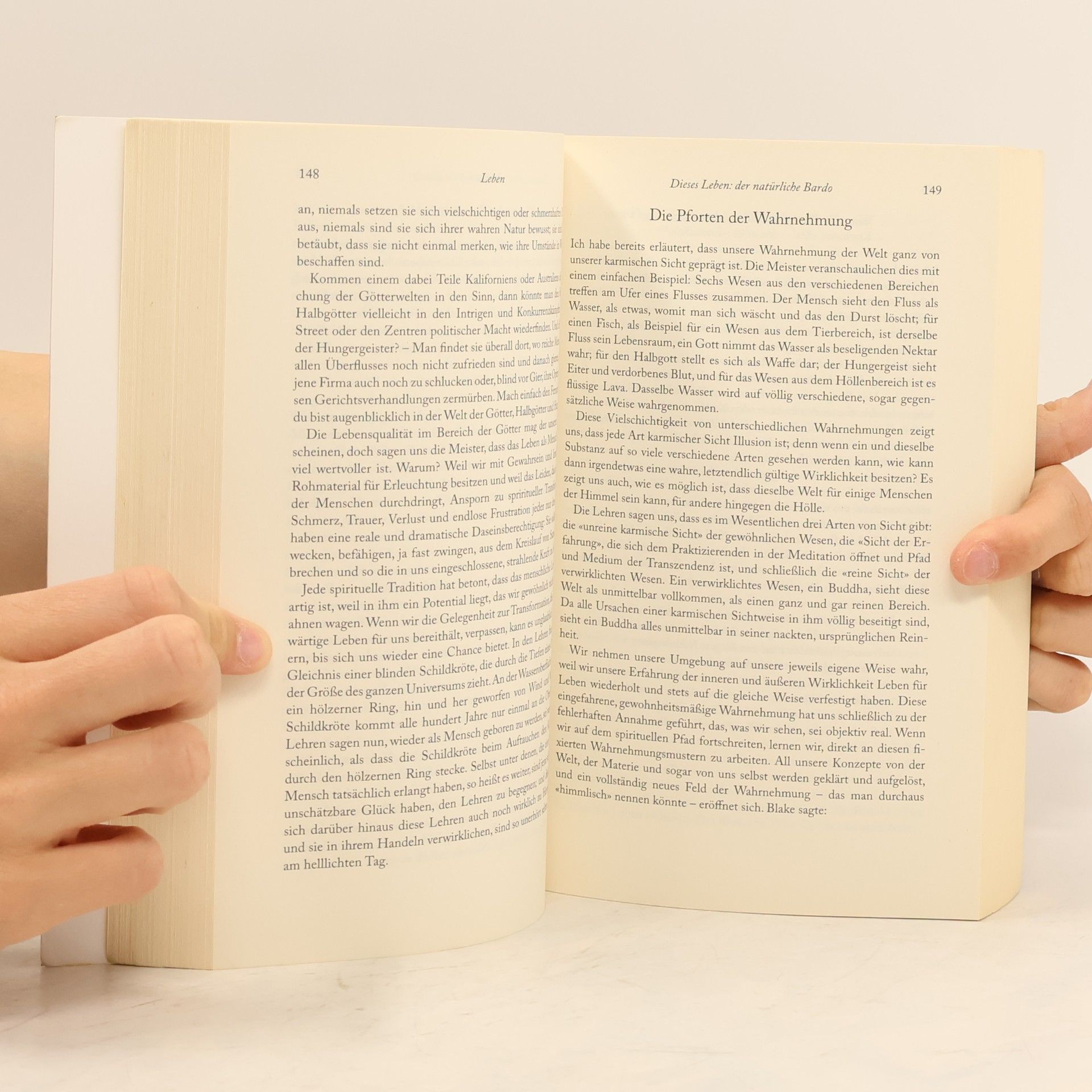 Sogyal Rinpoche Das tibetische Buch vom Leben und vom Sterben