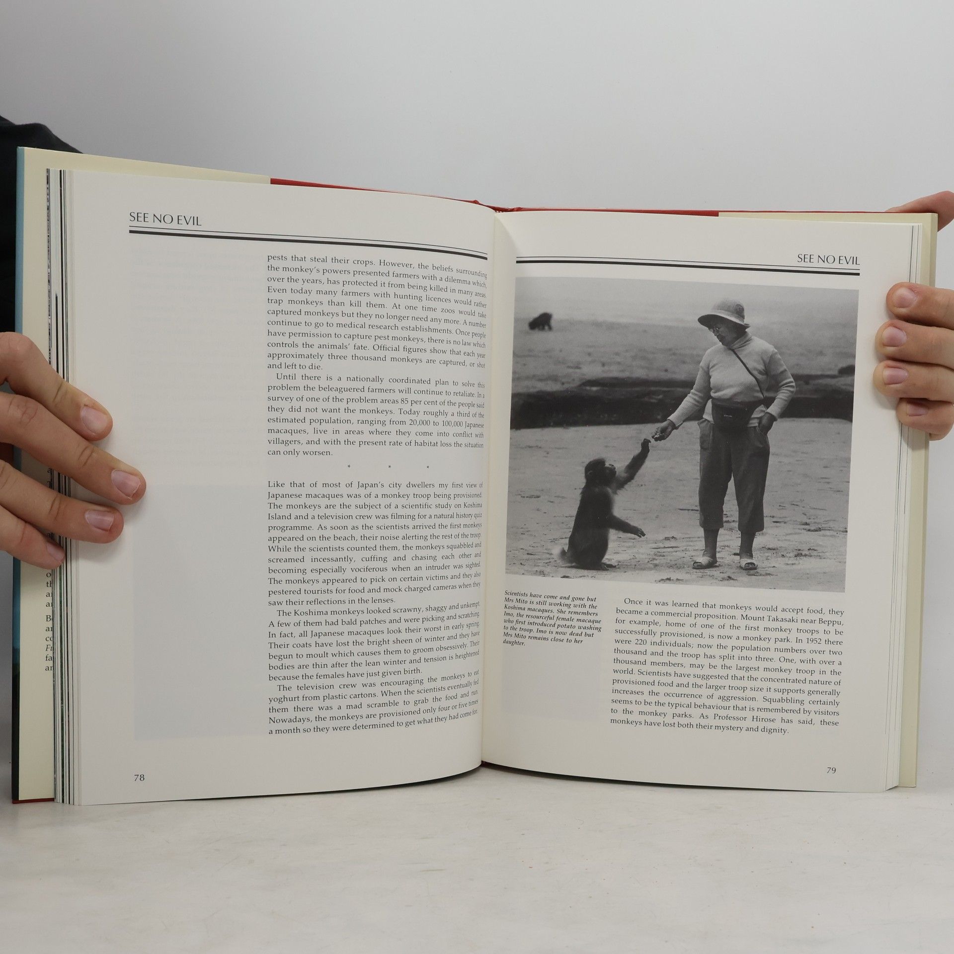 Jo Stewart-Smith In the Shadow of Fujisan