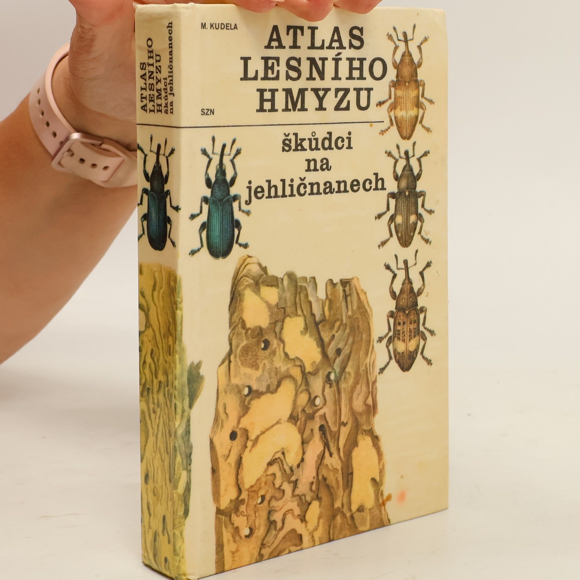 M. Kudela Atlas lesního hmyzu. Škůdci na jehličnanech