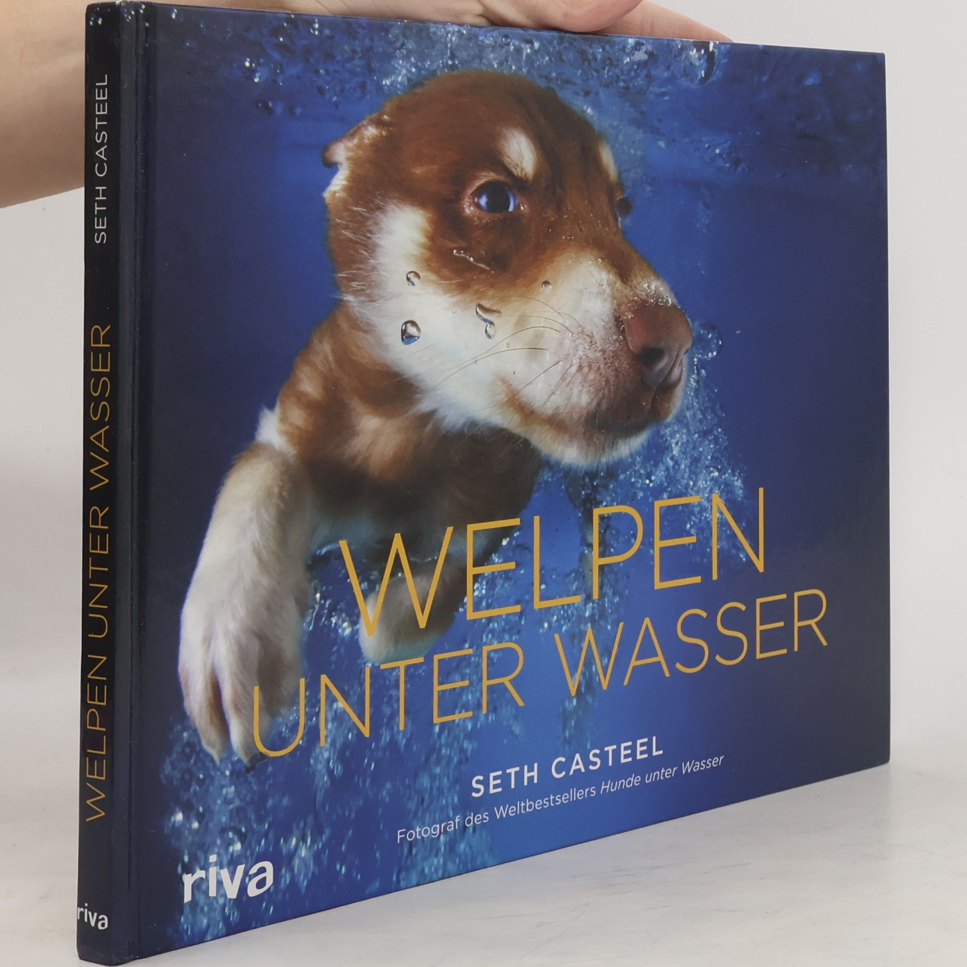 Seth Casteel Welpen unter Wasser