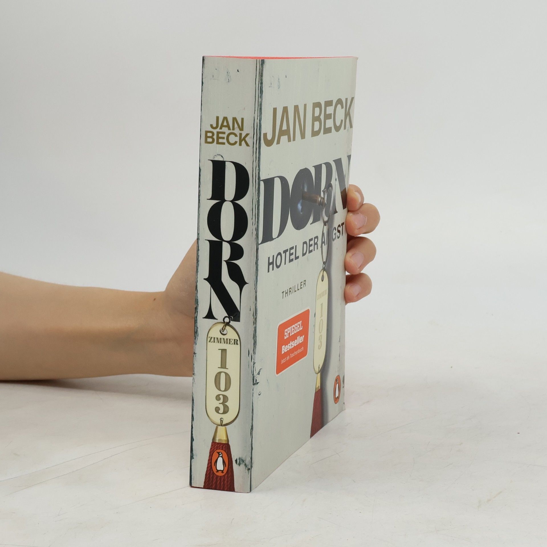 Jan Beck Dorn