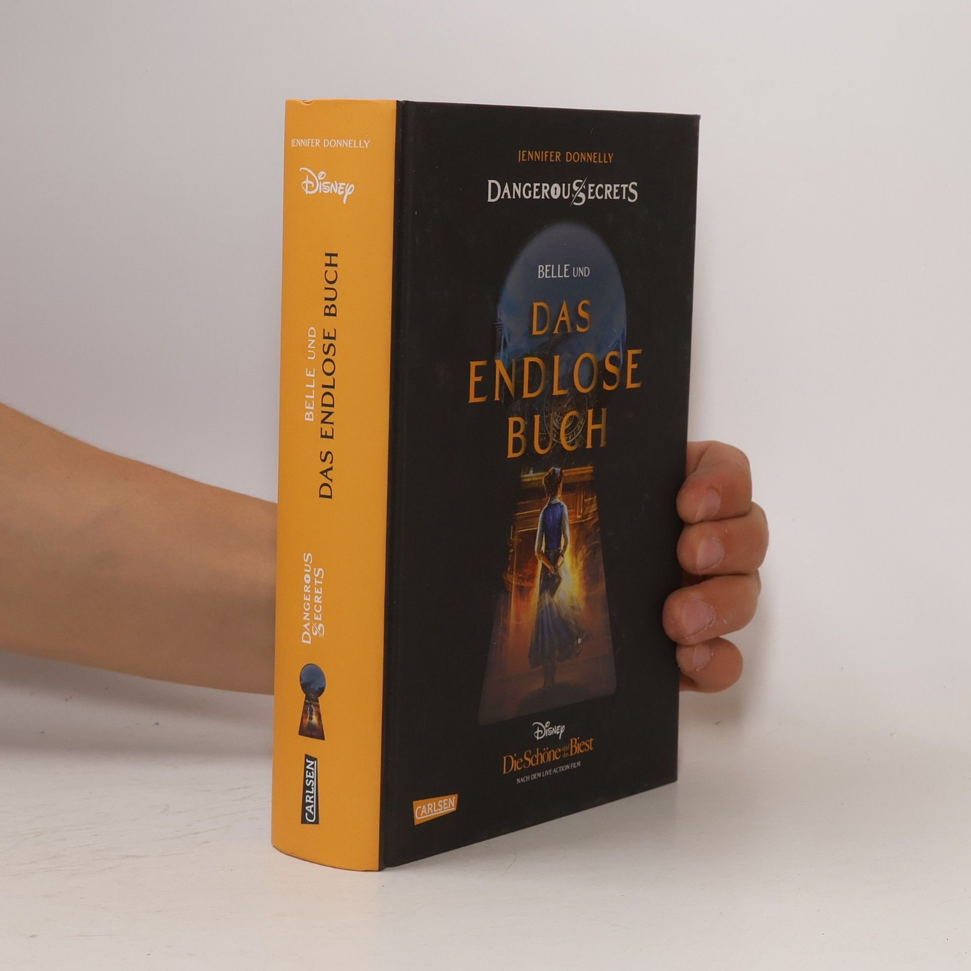 Jennifer Donnelly Das endlose Buch