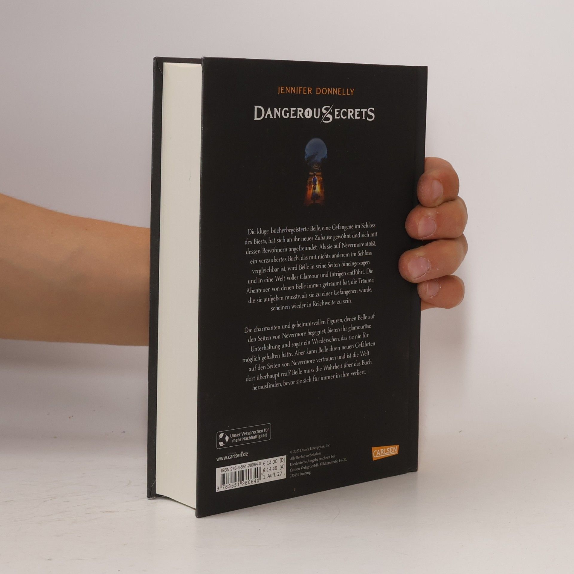 Jennifer Donnelly Das endlose Buch