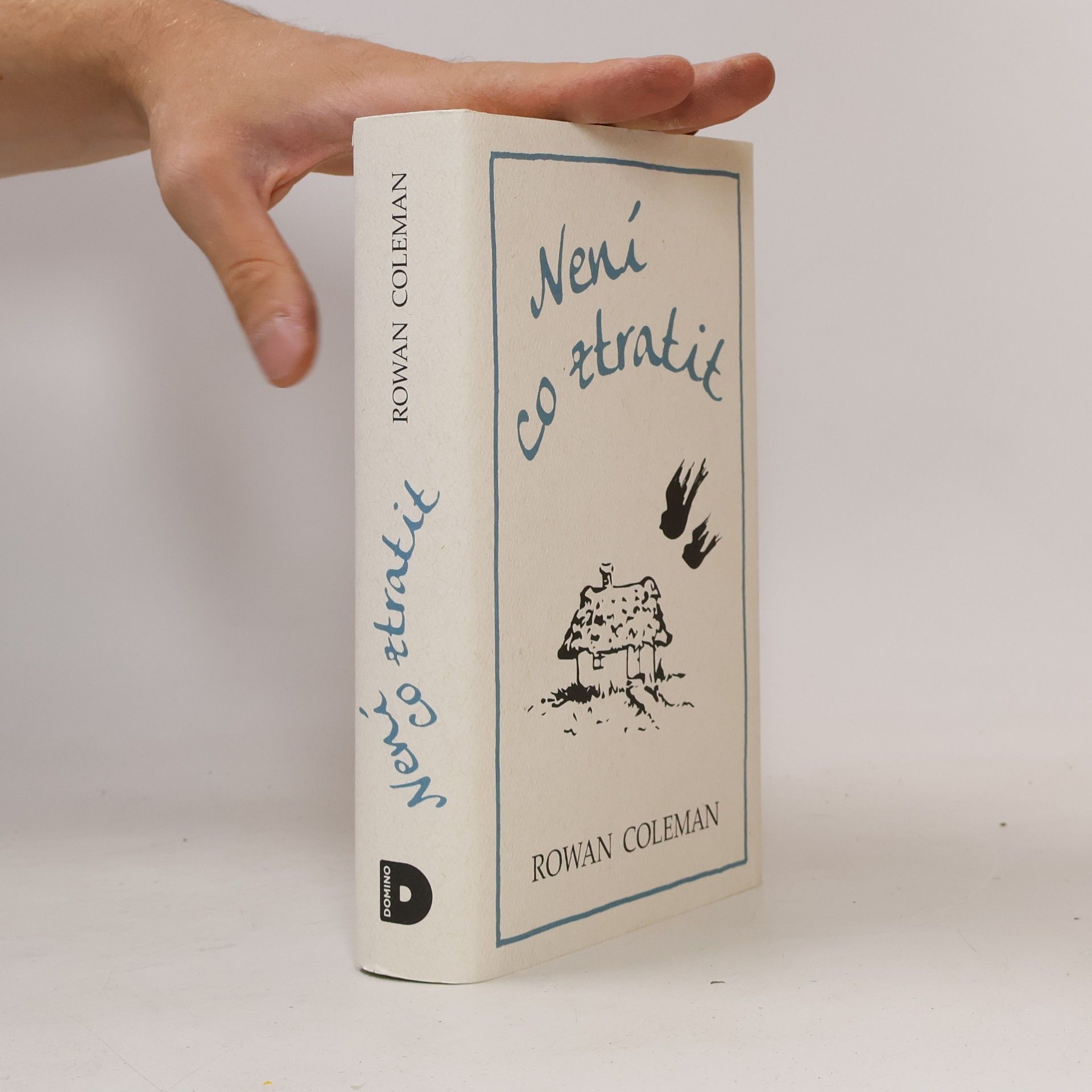 Rowan Coleman Není co ztratit