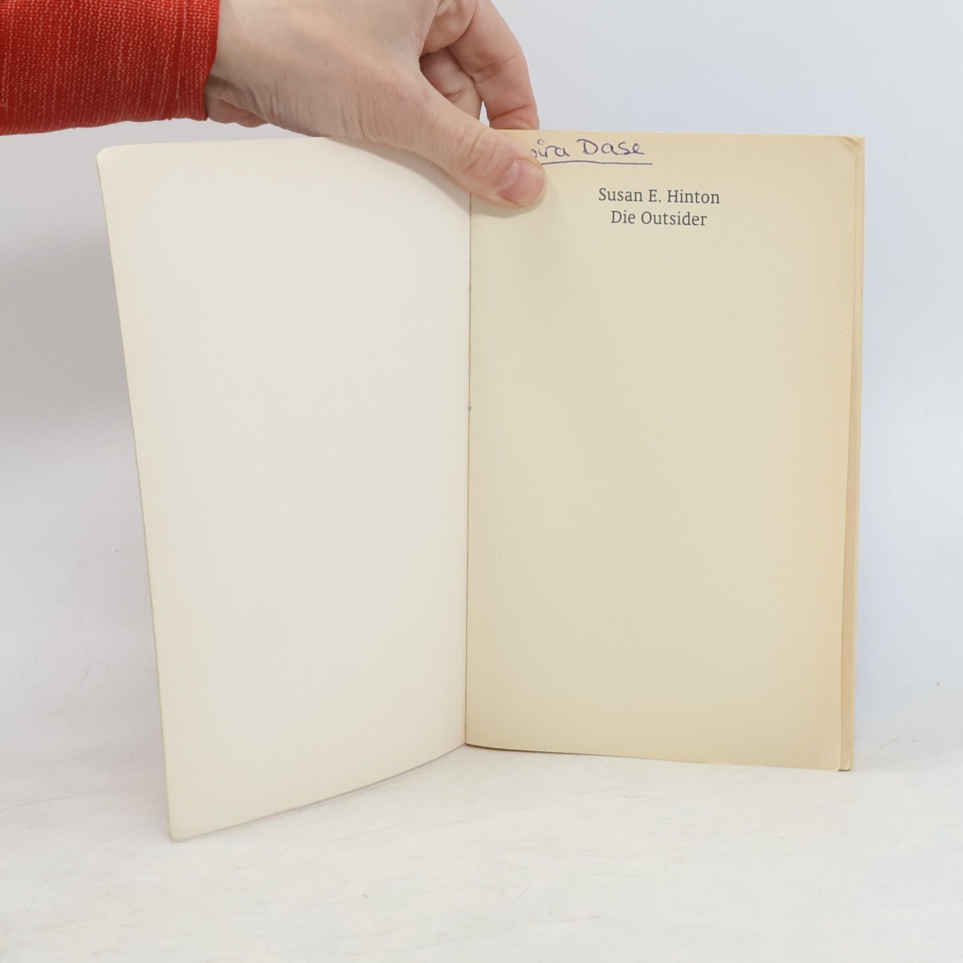 S. E. Hinton Die Outsider