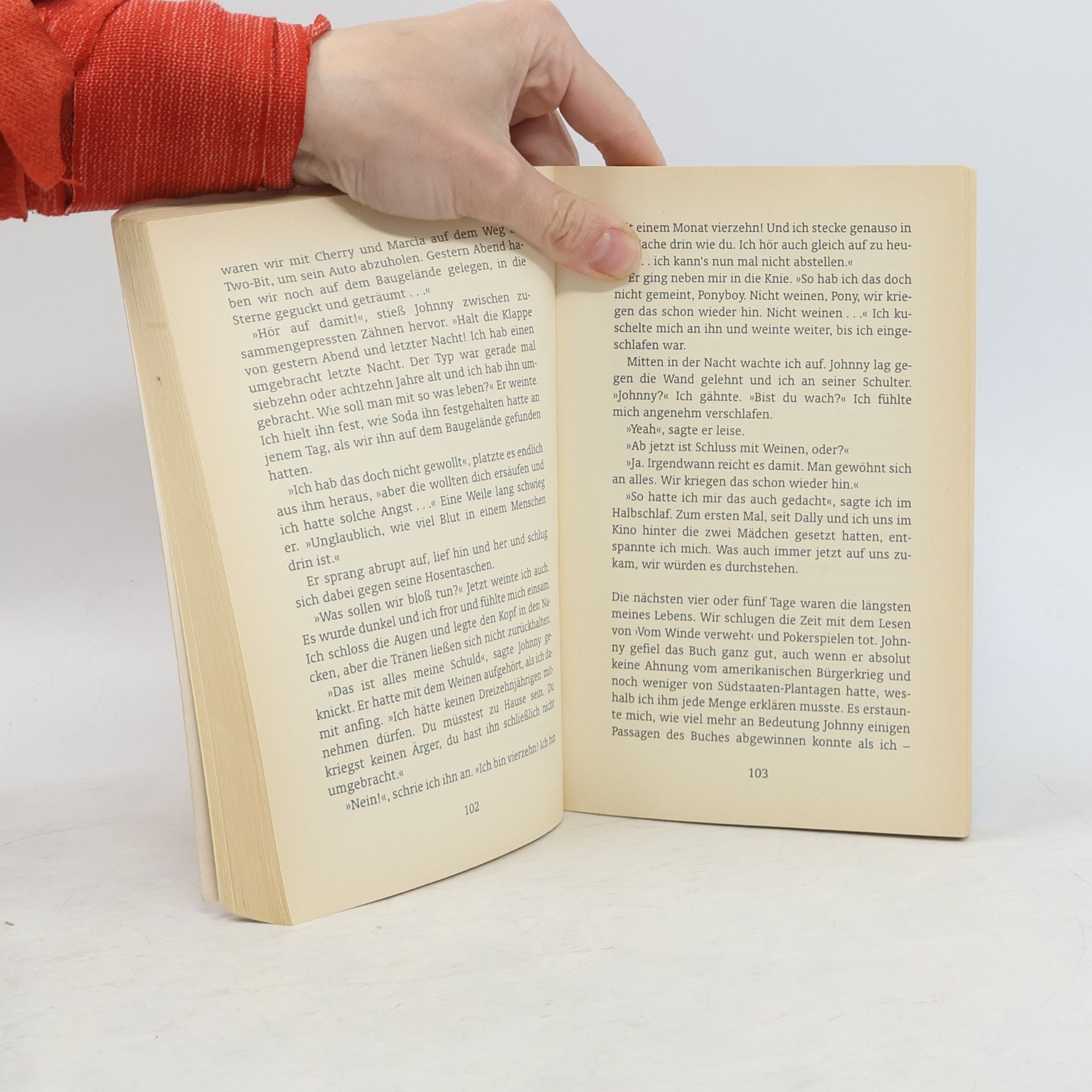 S. E. Hinton Die Outsider