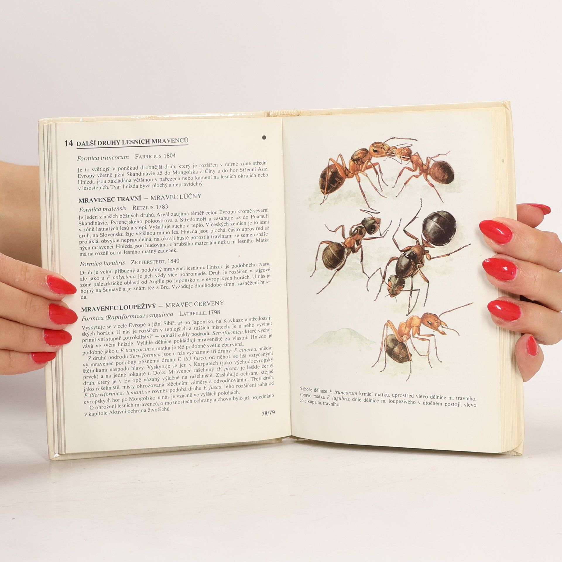 Various authors Kapesní atlas chráněných a ohrožených živočichů 1