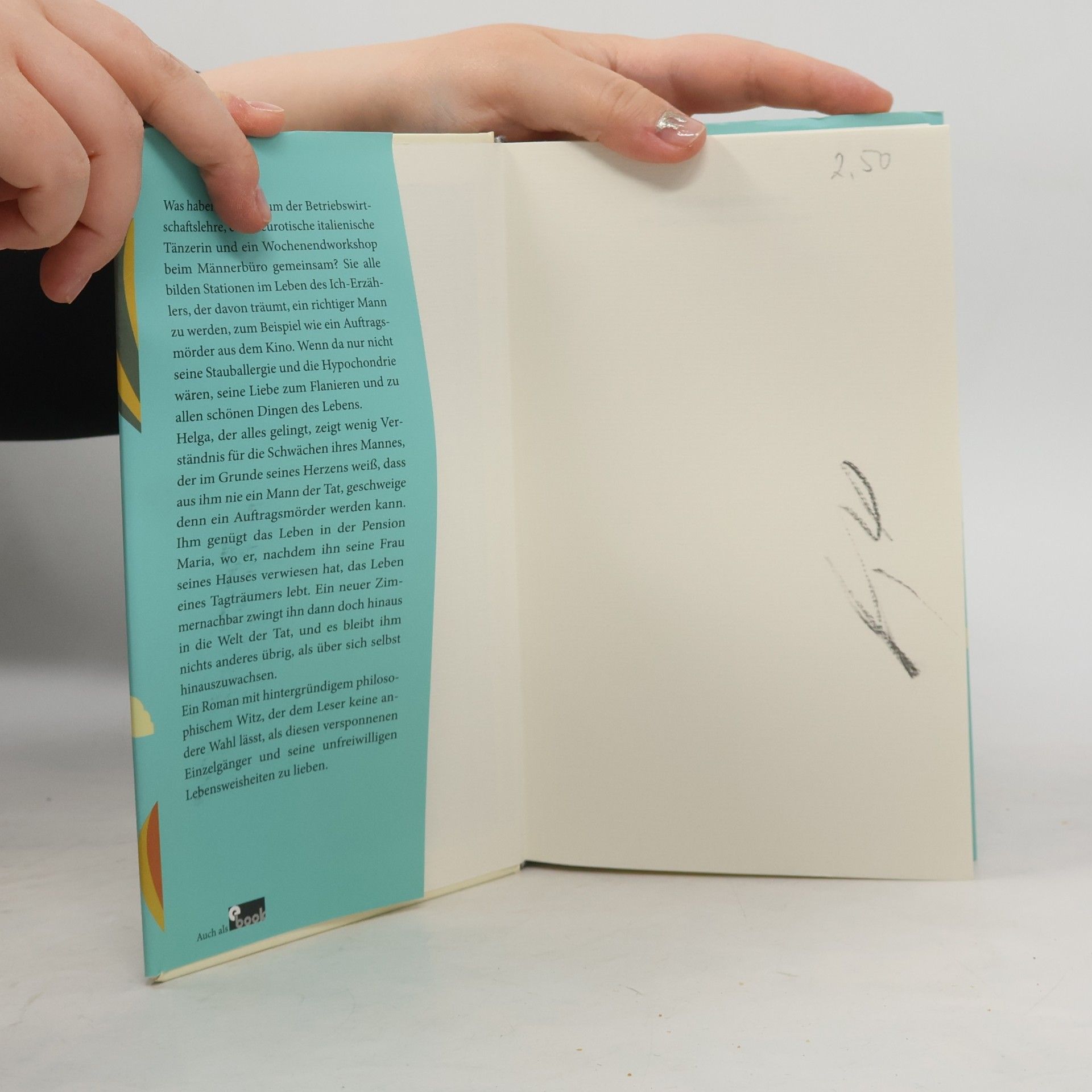 Wolfgang Hermann Die Kunst des unterirdischen Fliegens