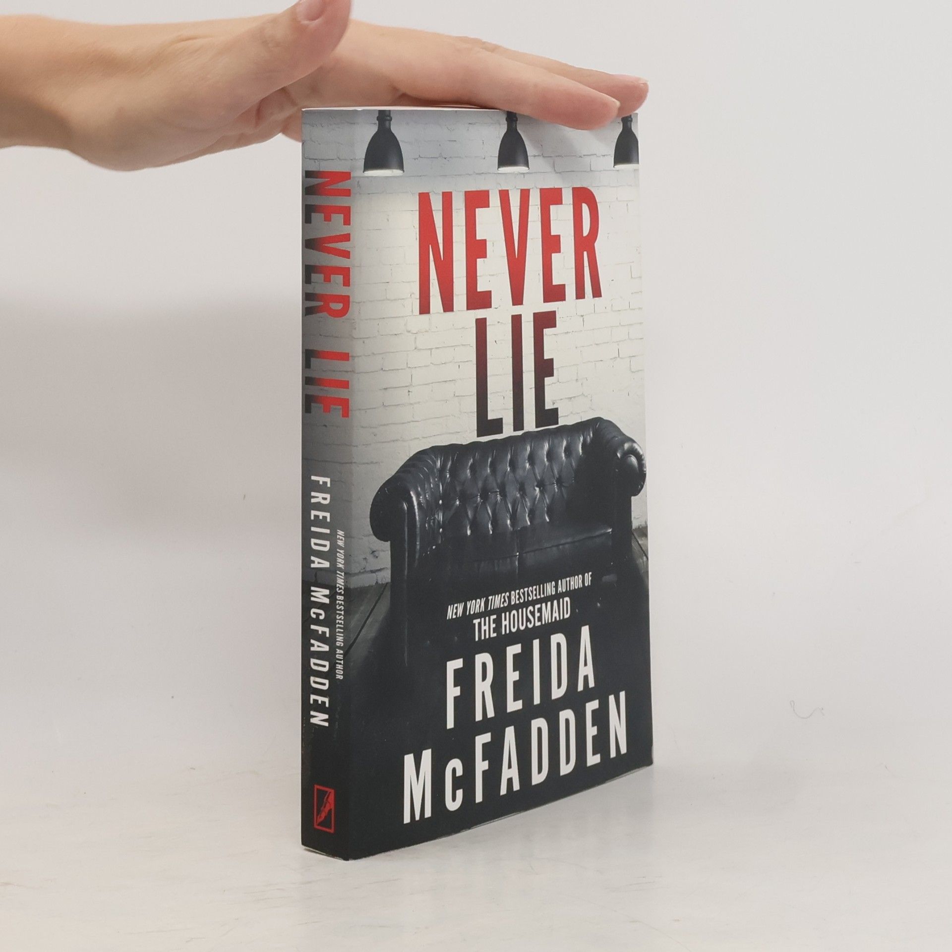 Freida McFadden Never Lie